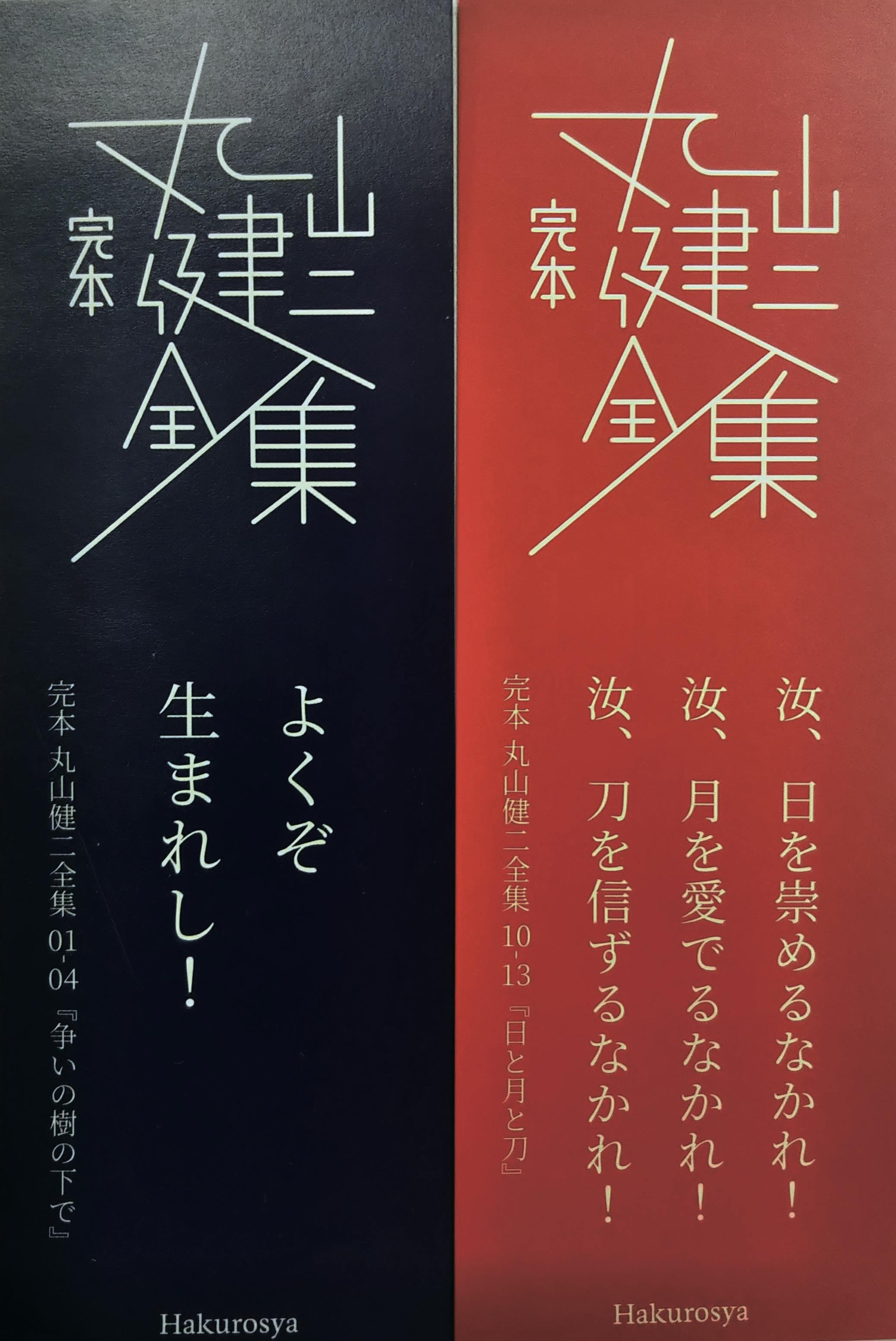 日本が世界に誇る作家、丸山健二『完本 丸山健二全集』英訳本を世界に