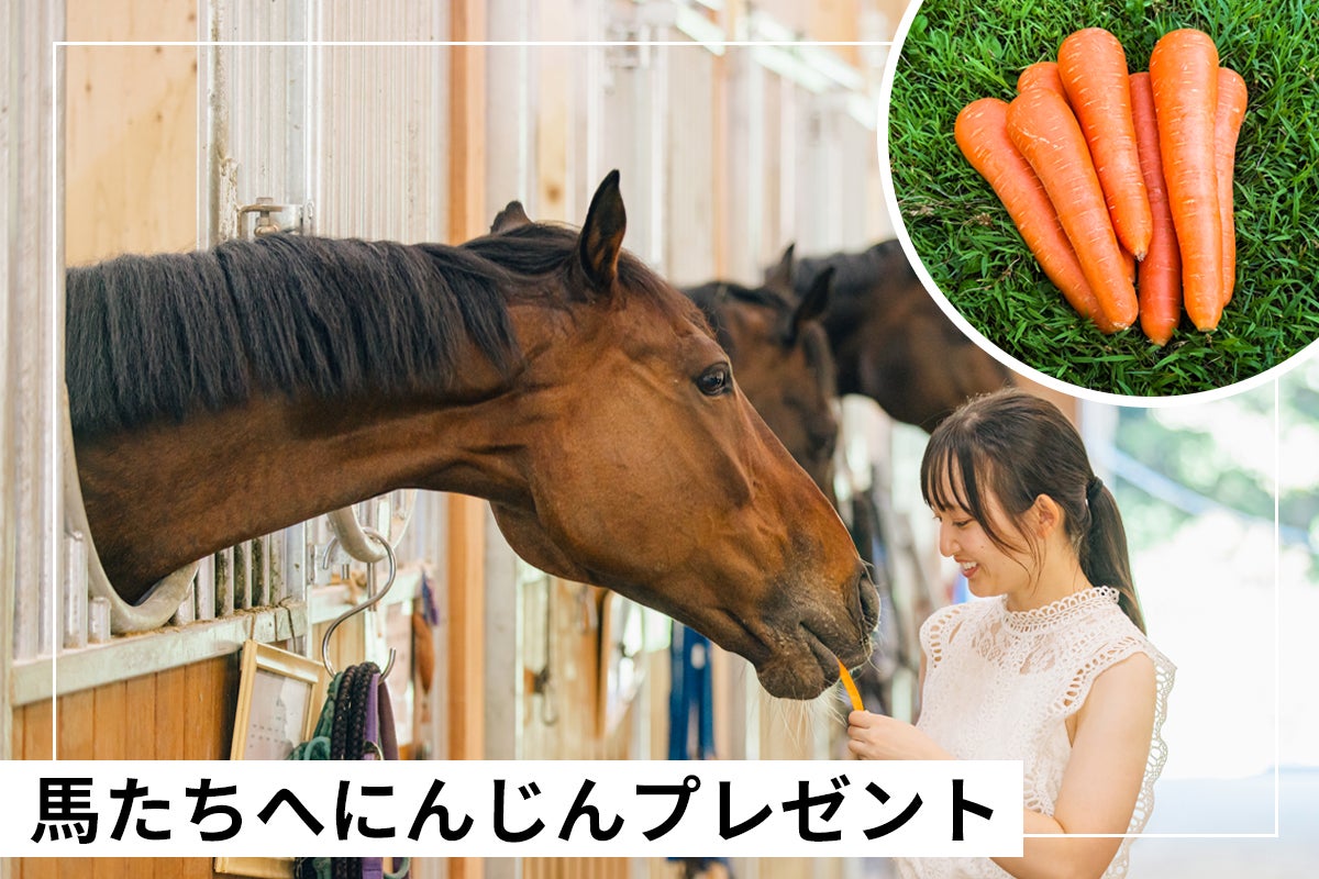 明日 20:00~】アオラキ「TCC 広報大使」就任記念 限定グッズが 明日 20:00~】アオラキ「TCC 広報大使」就任記念 限定グッズが