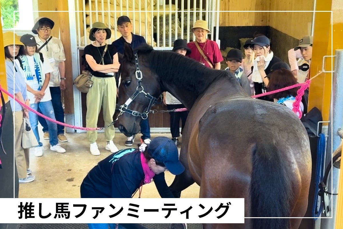 明日 20:00~】アオラキ「TCC 広報大使」就任記念 限定グッズが 明日 20:00~】アオラキ「TCC 広報大使」就任記念 限定グッズが