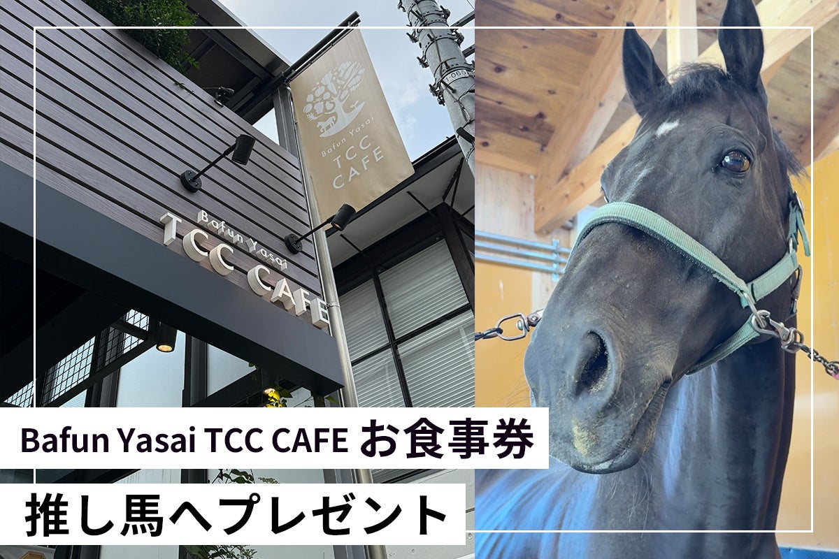 TCC アオラキ 普及啓発カレンダー 2026 2026 普及啓発カレンダー TCC アオラキ 普及啓発カレンダー 2026 2026 普及啓発カレンダー