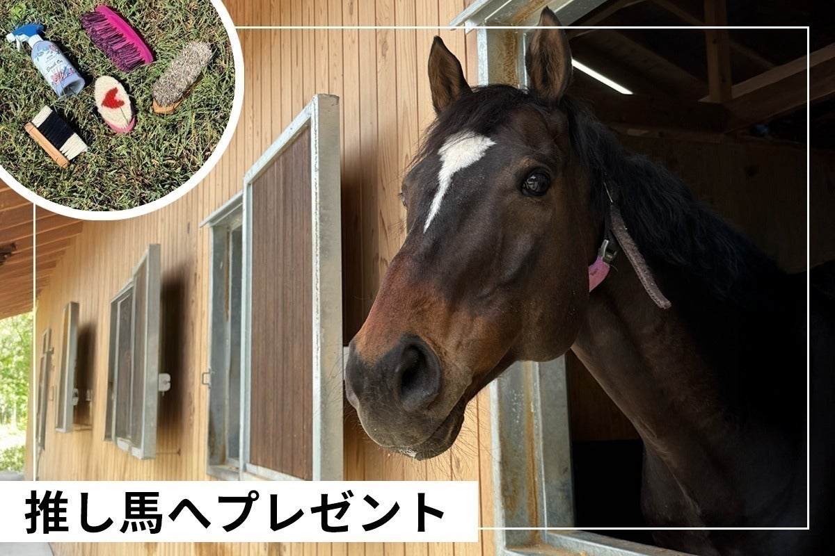 追悼】「TCC 広報大使」アオラキにつきまして - CAMPFIRE (キャンプ 追悼】「TCC 広報大使」アオラキにつきまして - CAMPFIRE (キャンプ