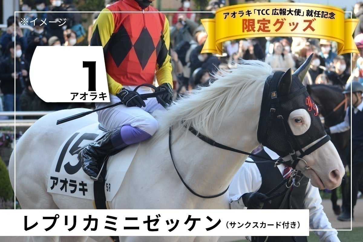 2026 普及啓発カレンダー アオラキ TCC 新発売】「TCCホース お知らせ 2026 普及啓発カレンダー アオラキ TCC 新発売】「TCCホース お知らせ