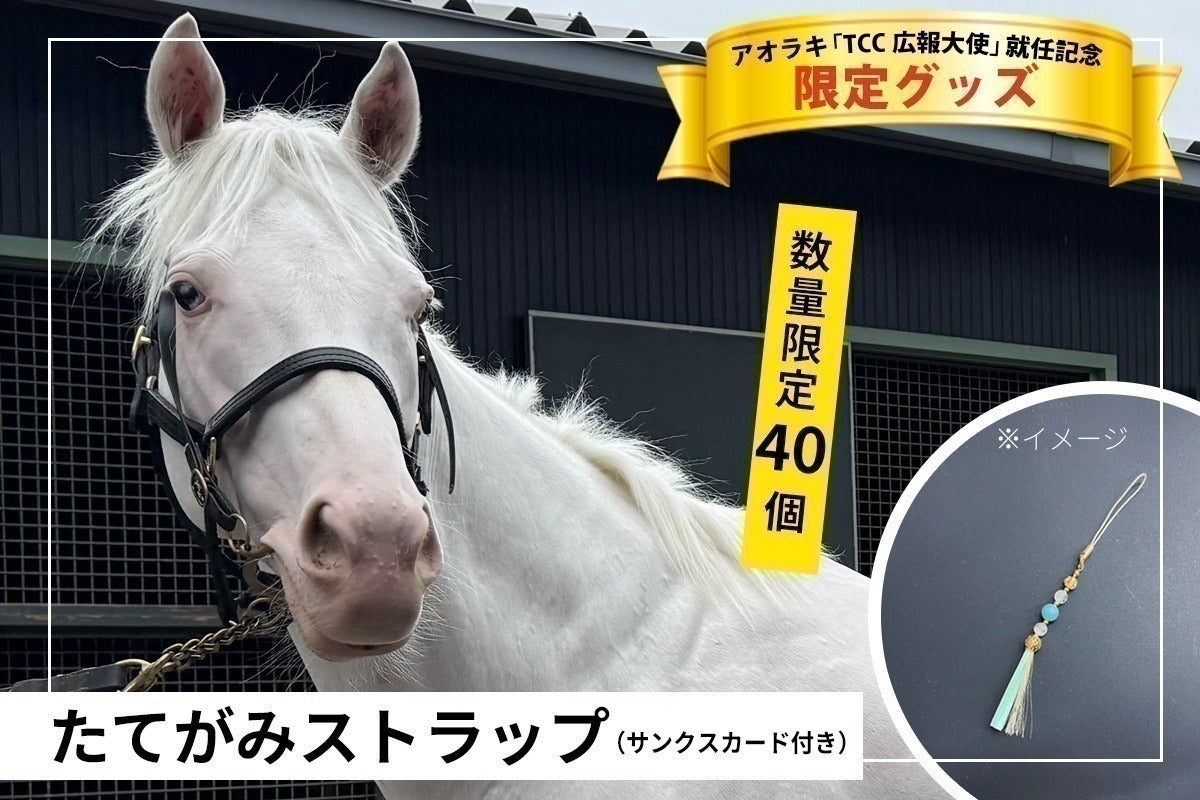 TCC アオラキ 普及啓発カレンダー 2026 2026 普及啓発カレンダー TCC アオラキ 普及啓発カレンダー 2026 2026 普及啓発カレンダー