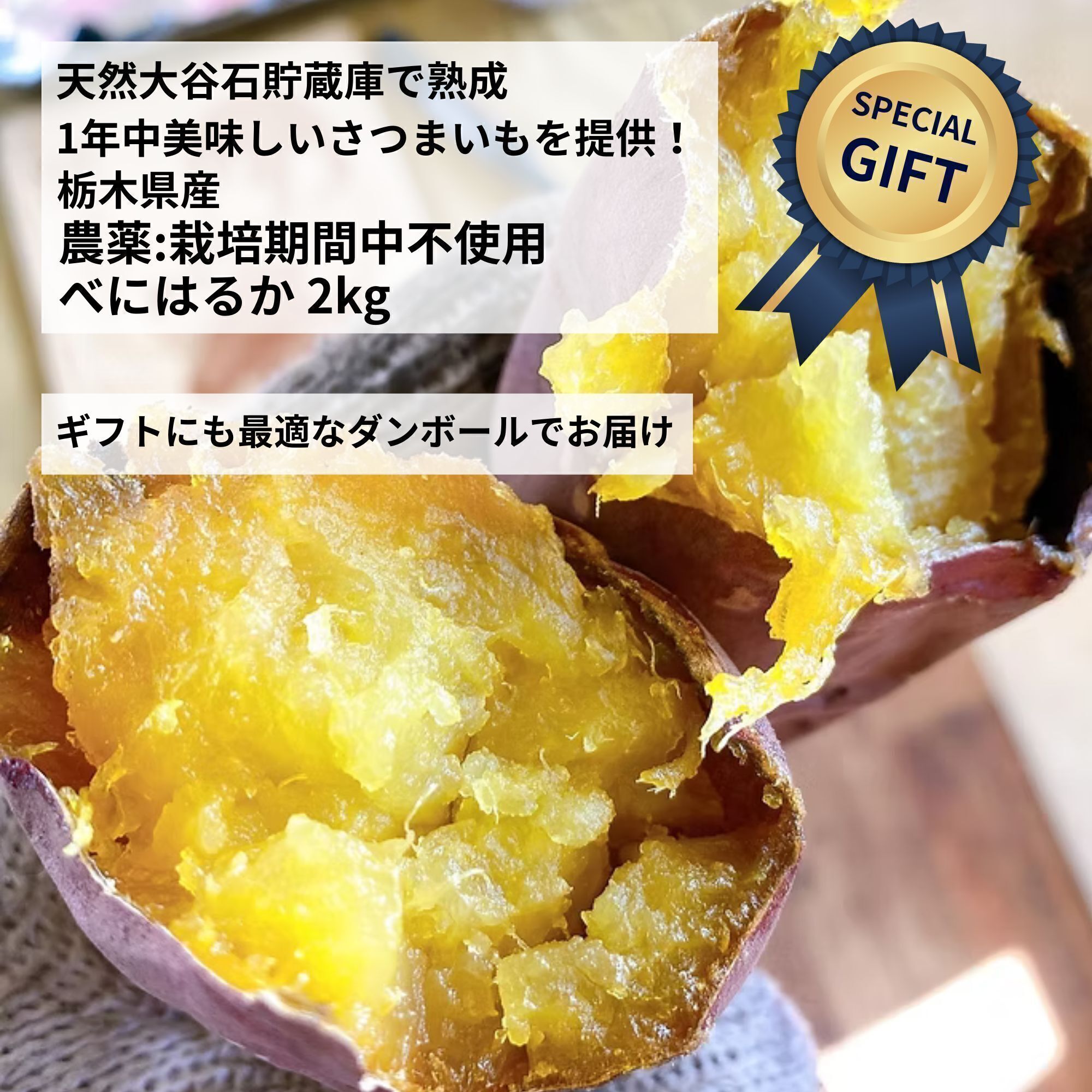 リターン画像