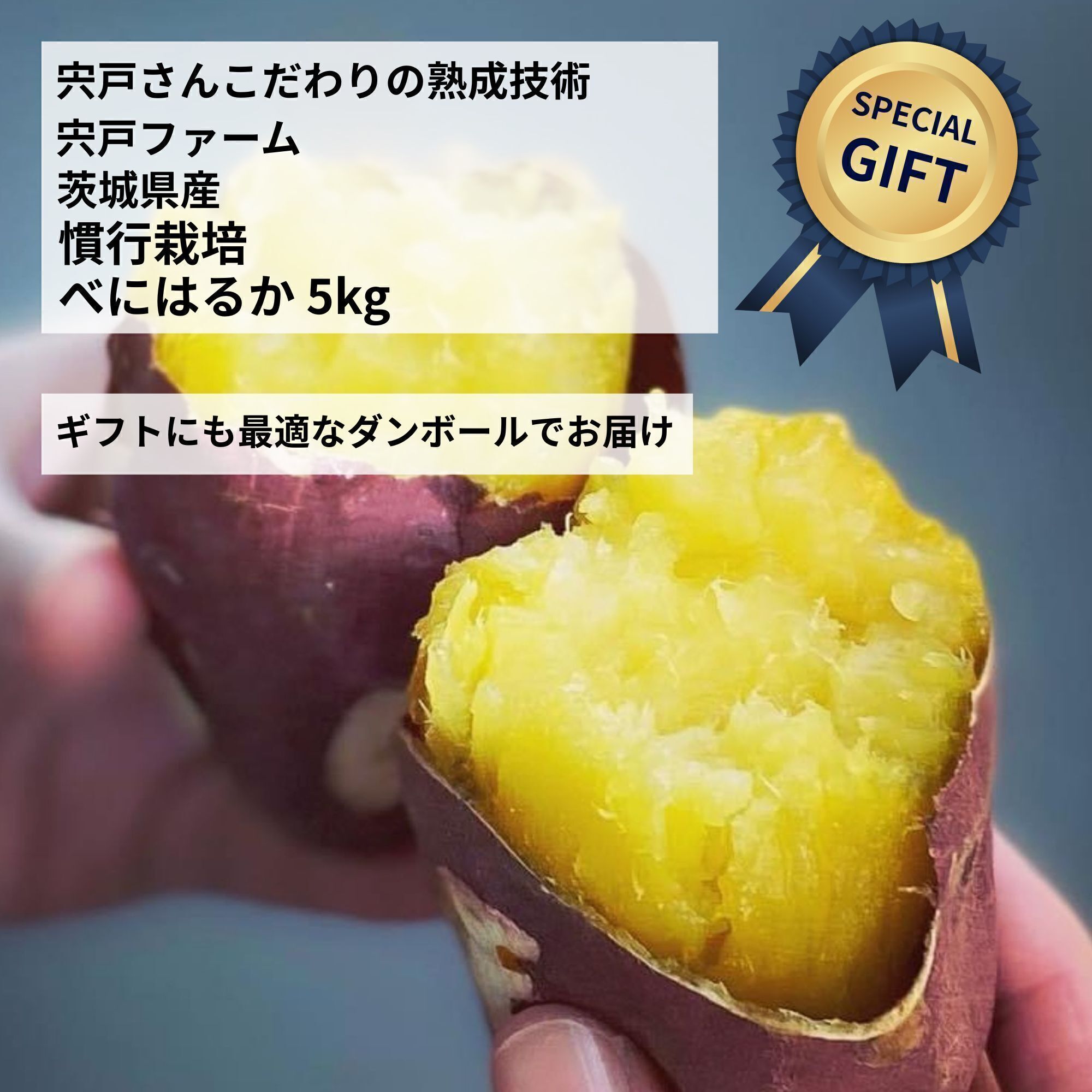 リターン画像