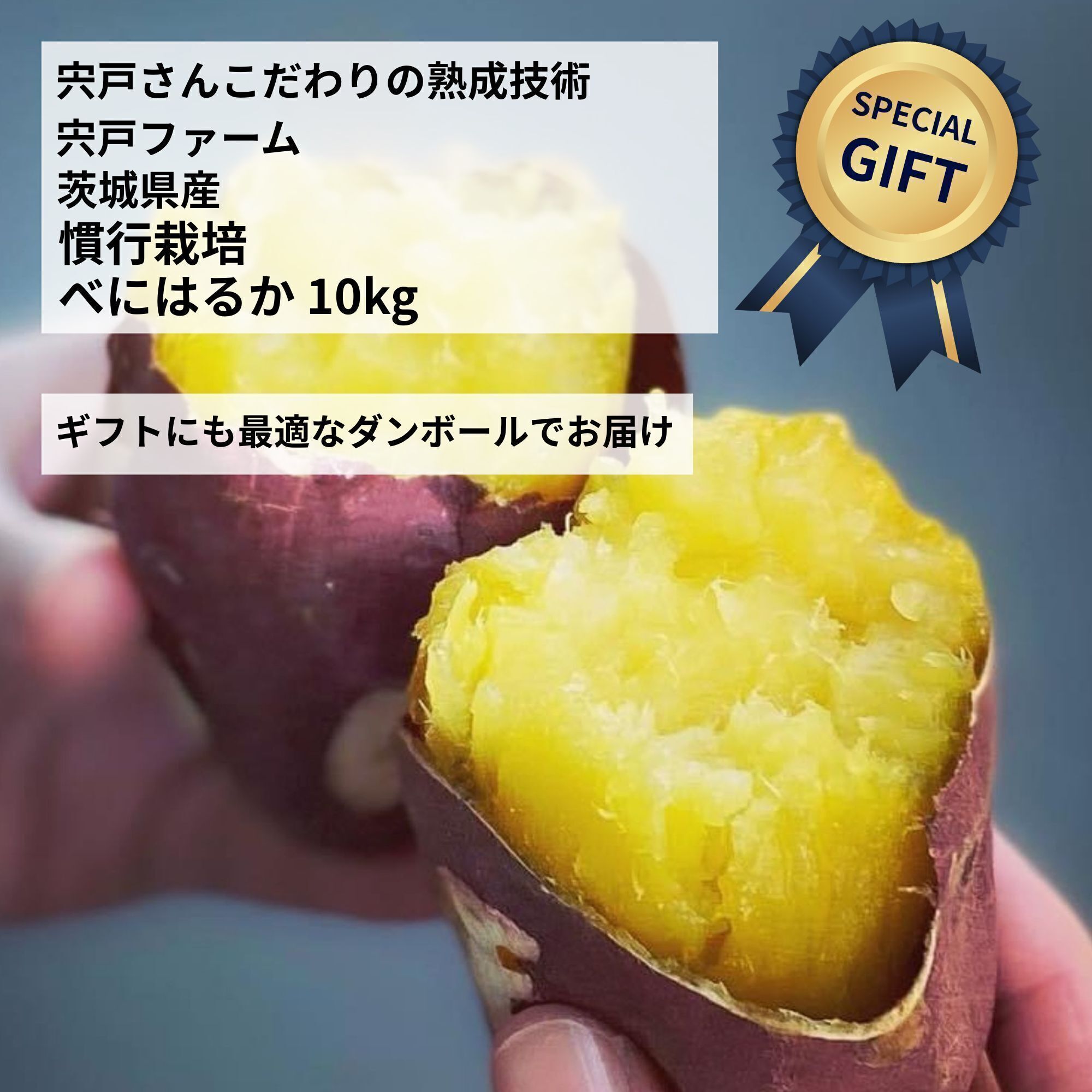 リターン画像
