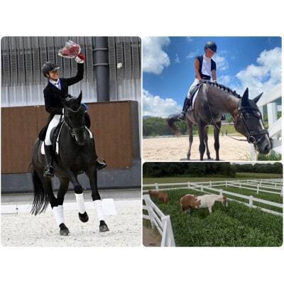 三木市から全国へ! 馬と人が輝く新たな乗馬クラブへ - CAMPFIRE