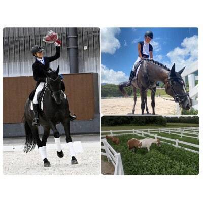 三木市から全国へ! 馬と人が輝く新たな乗馬クラブへ - CAMPFIRE