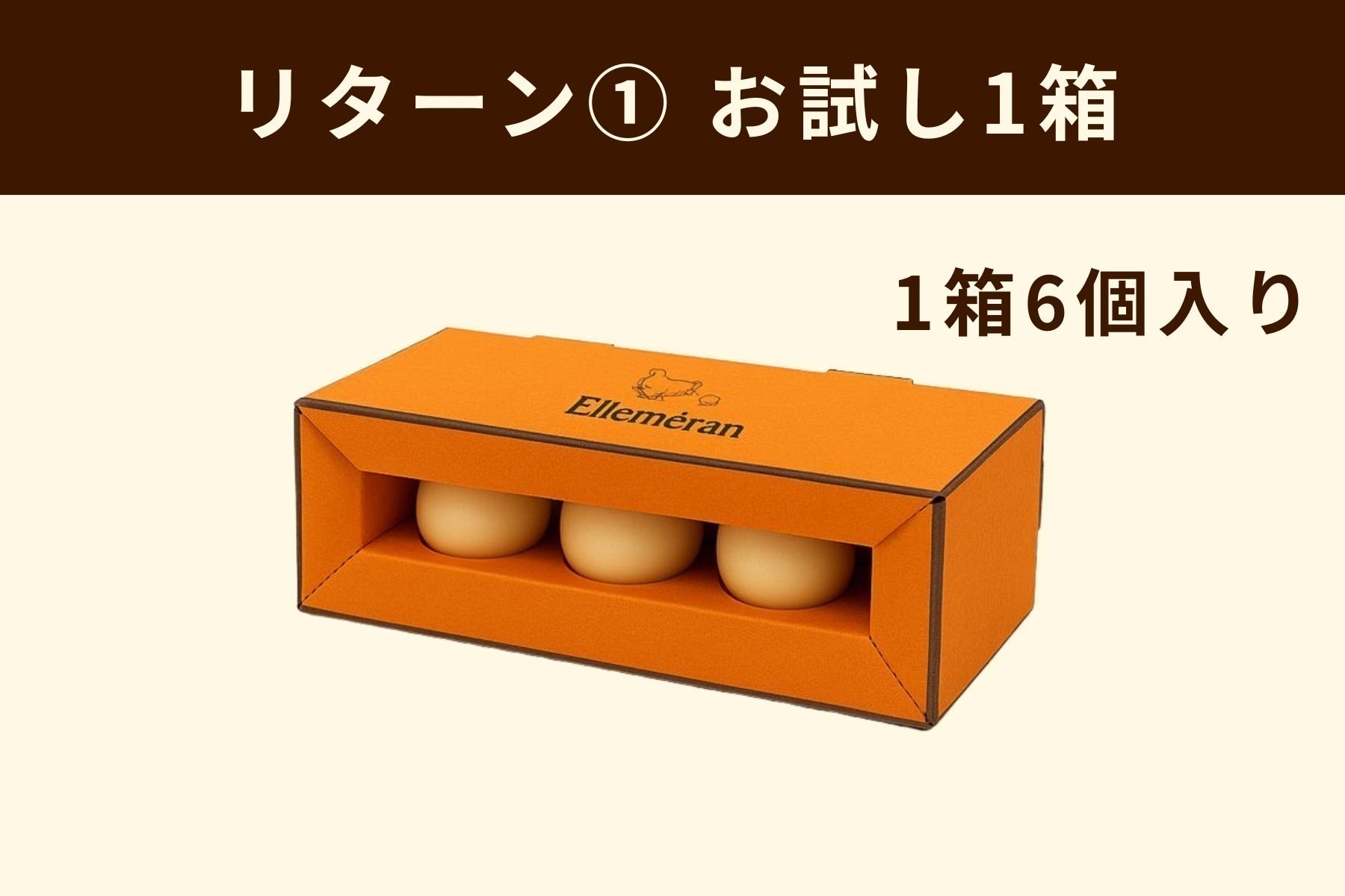 リターン画像