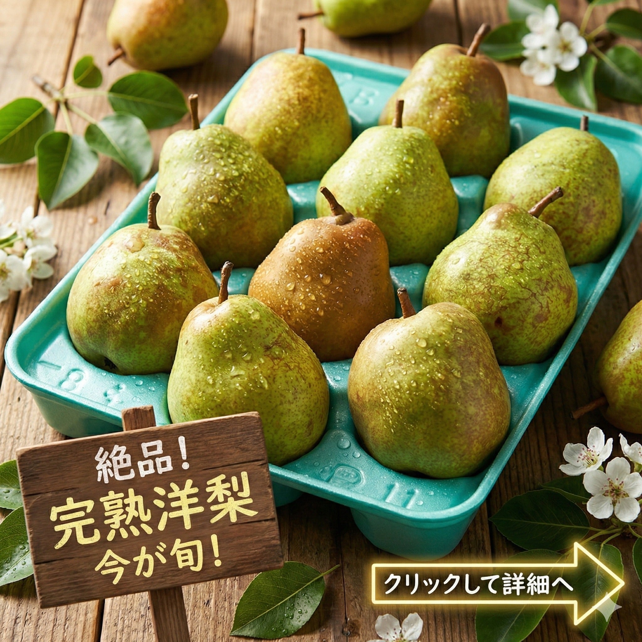 リターン画像