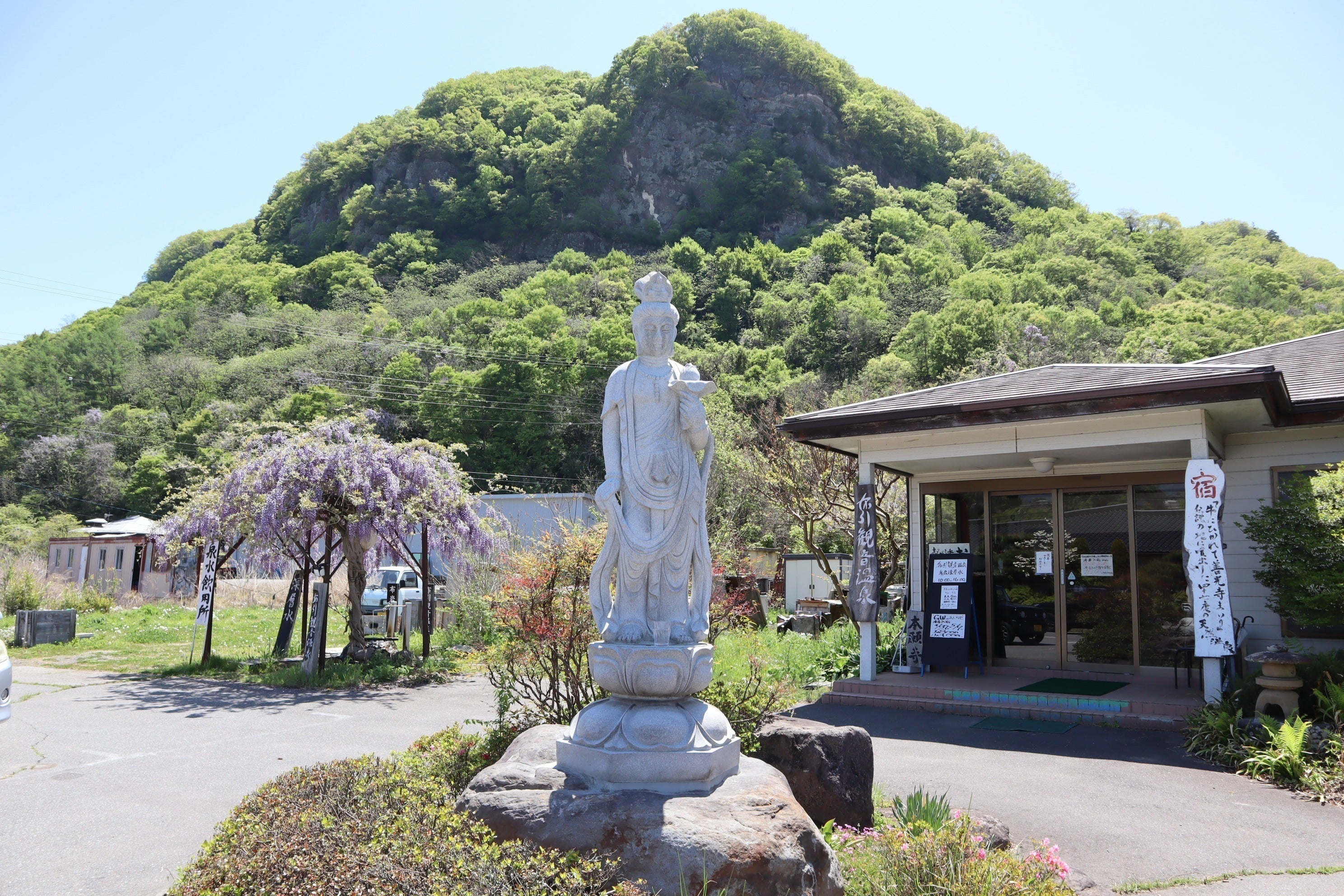 リターン画像