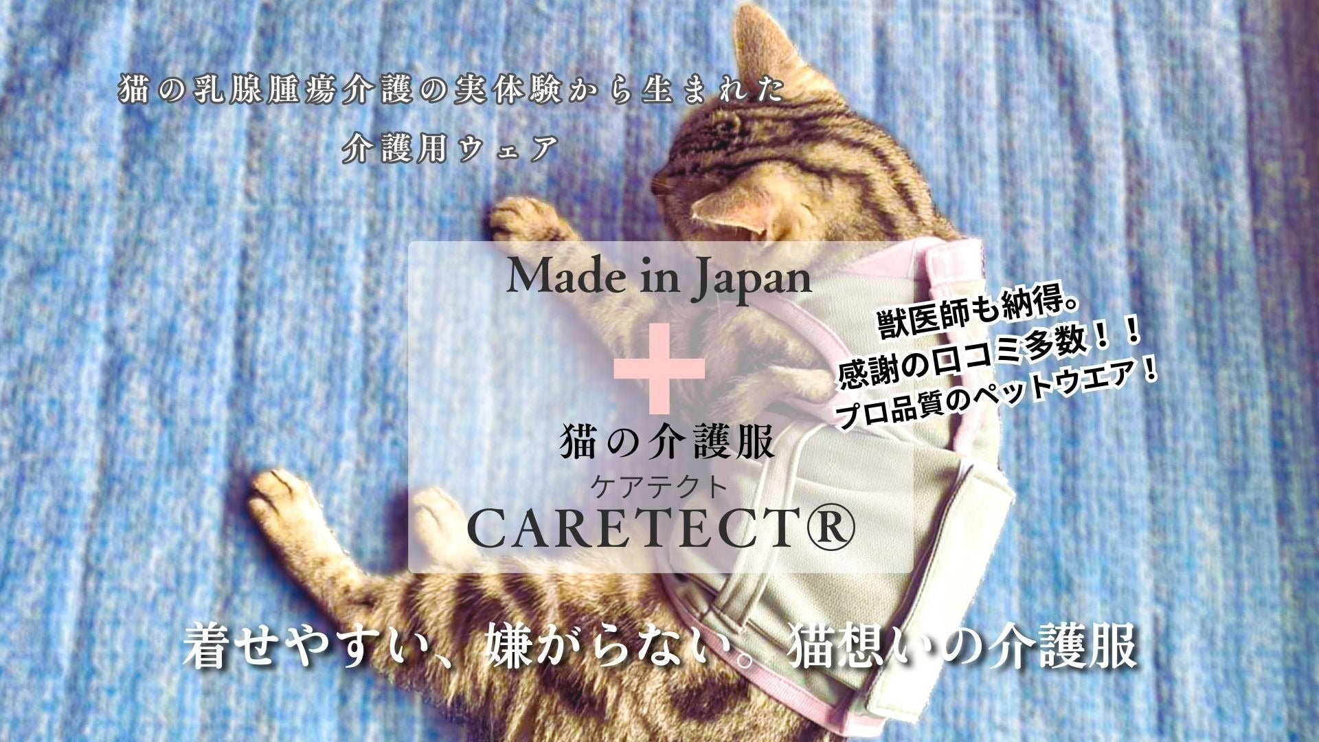 猫の介護服CARETECTⓇプロジェクト・応援頂きありがとうございました
