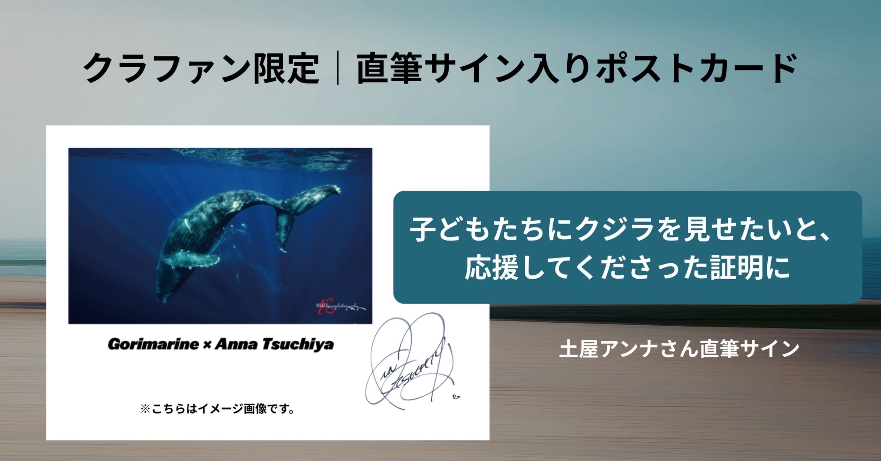 リターン画像