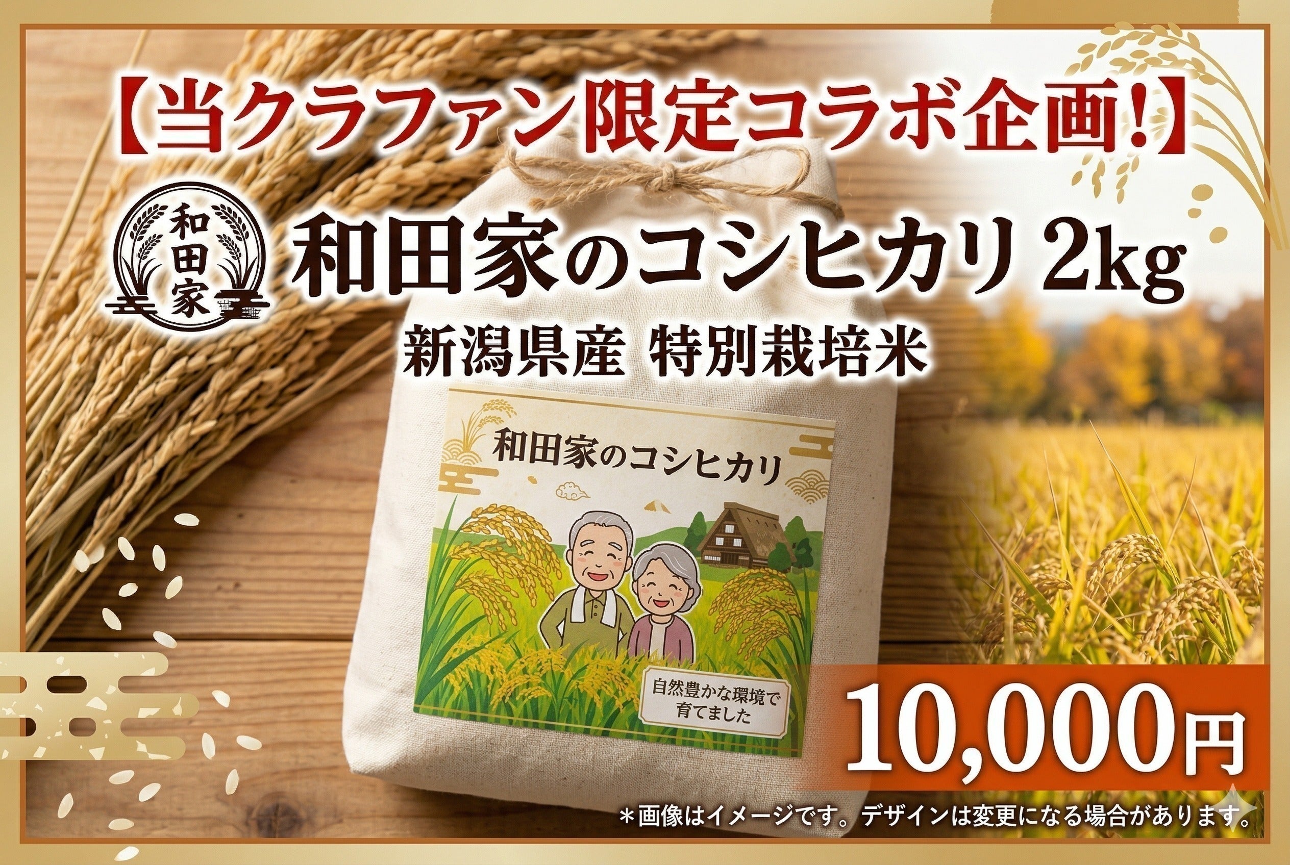 リターン画像