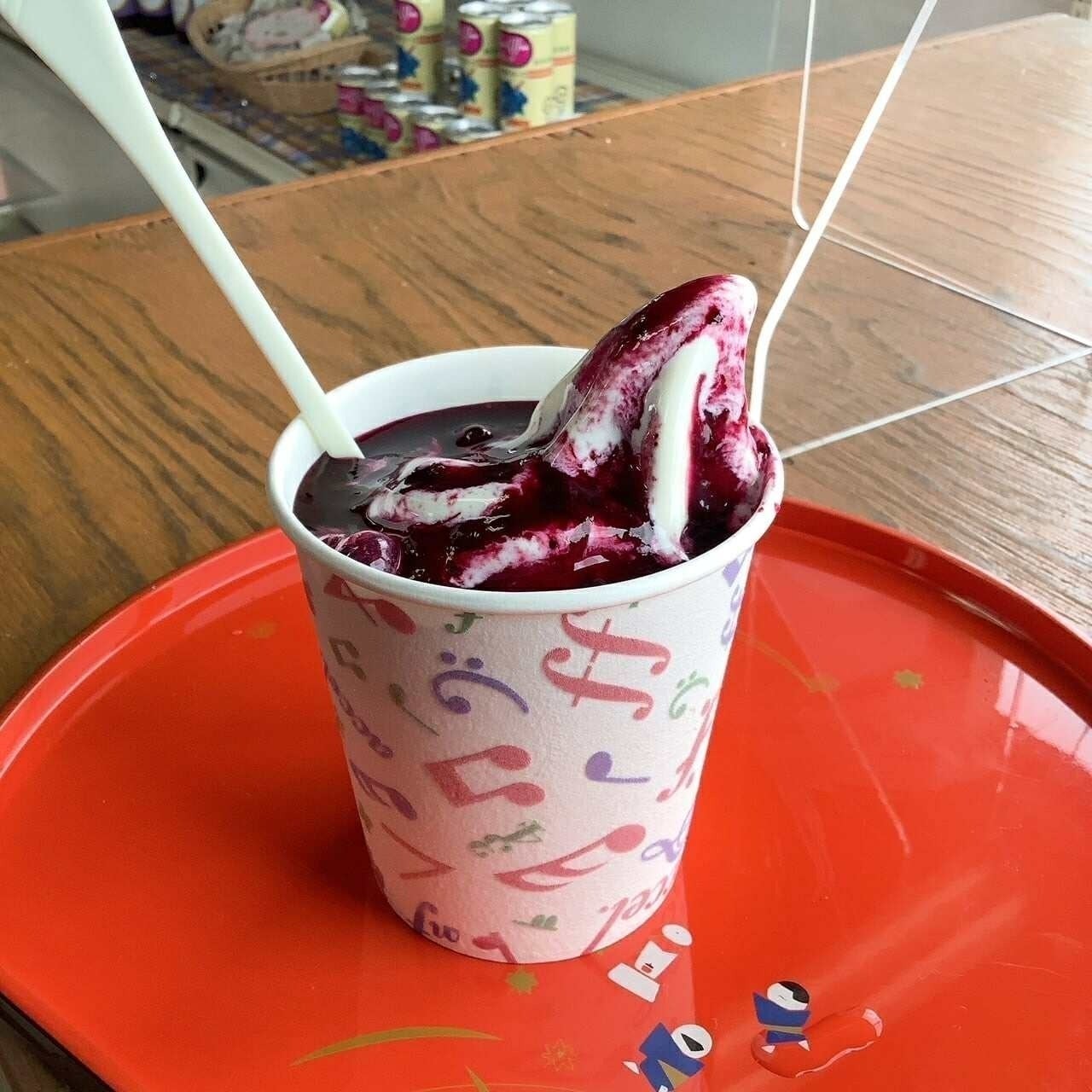 リターン画像
