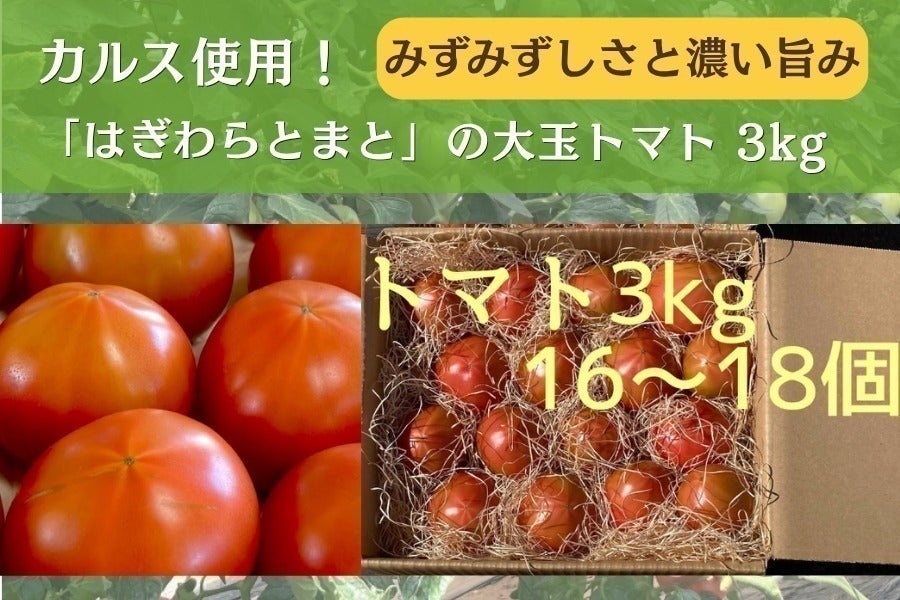 リターン画像