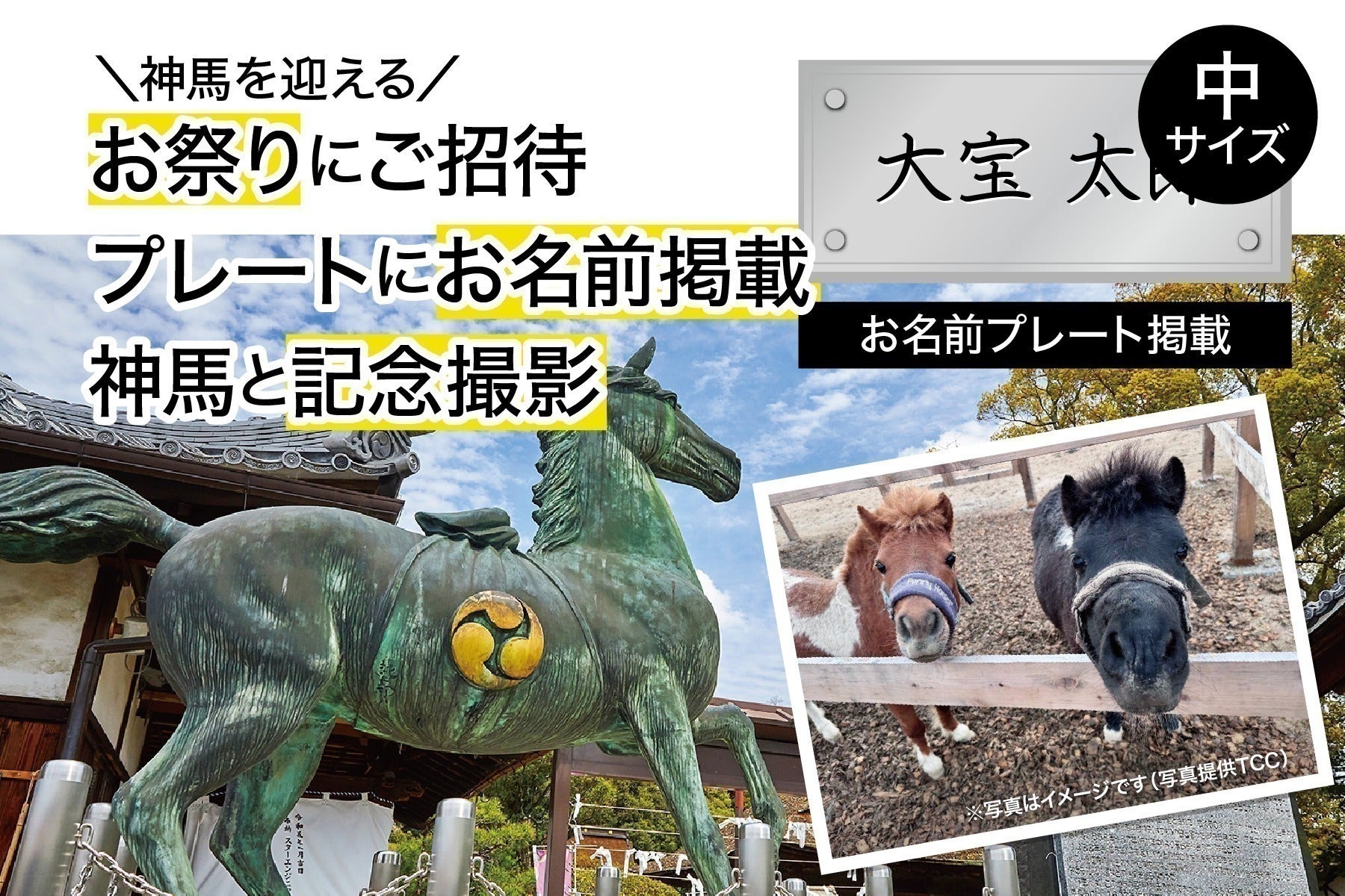 リターン画像