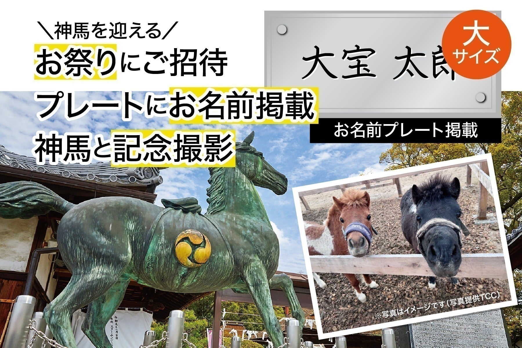 リターン画像