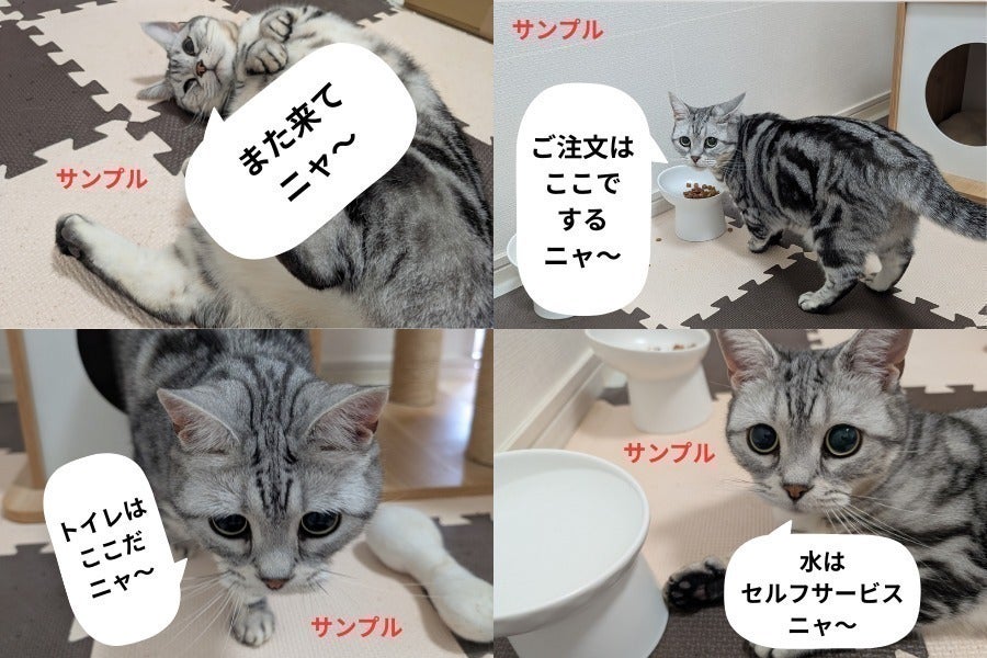 リターン画像
