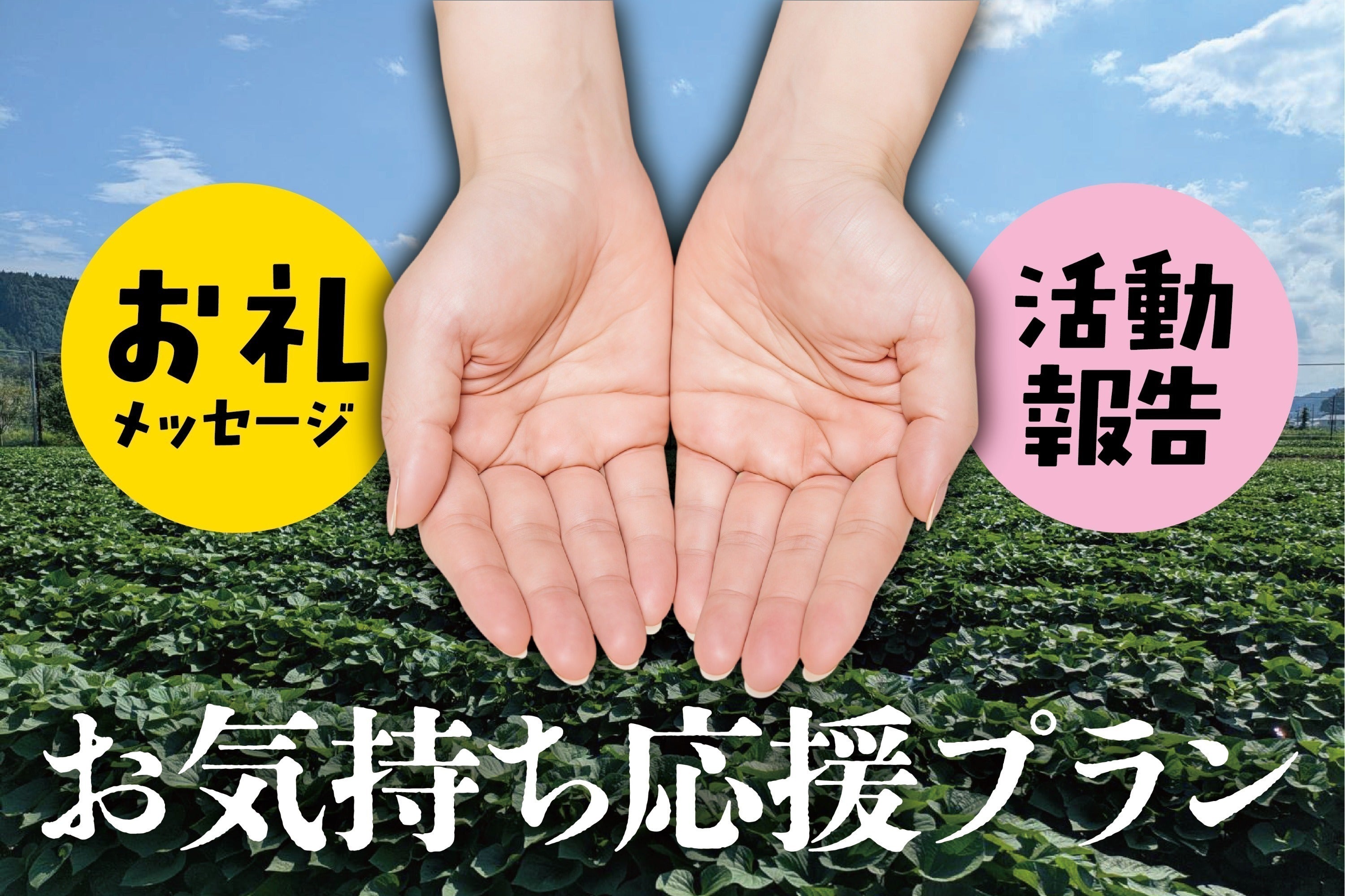 リターン画像