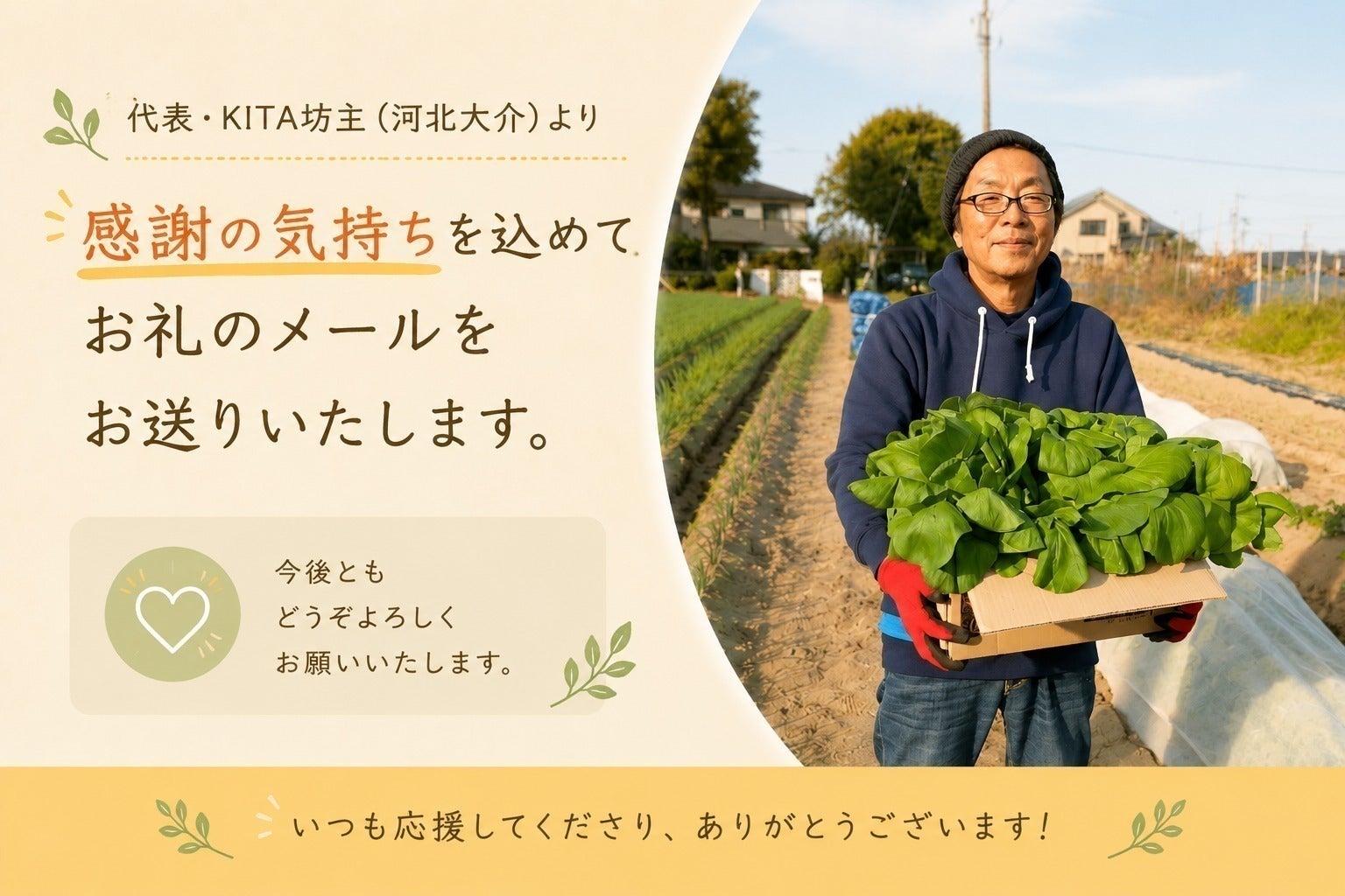 リターン画像
