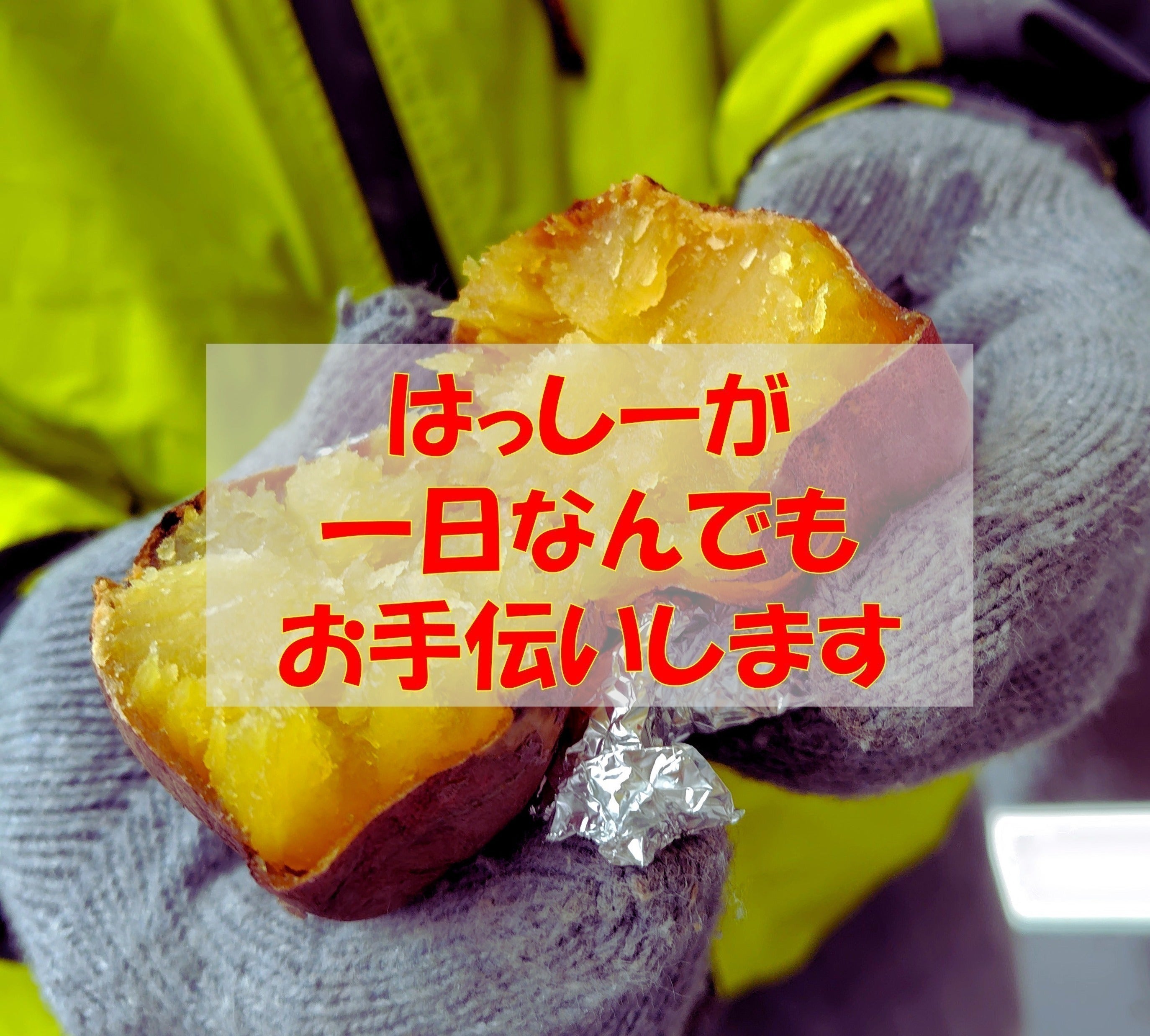 リターン画像