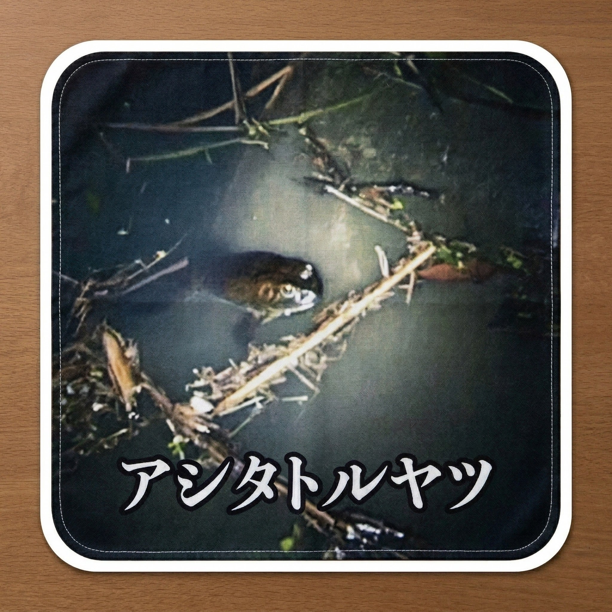 リターン画像