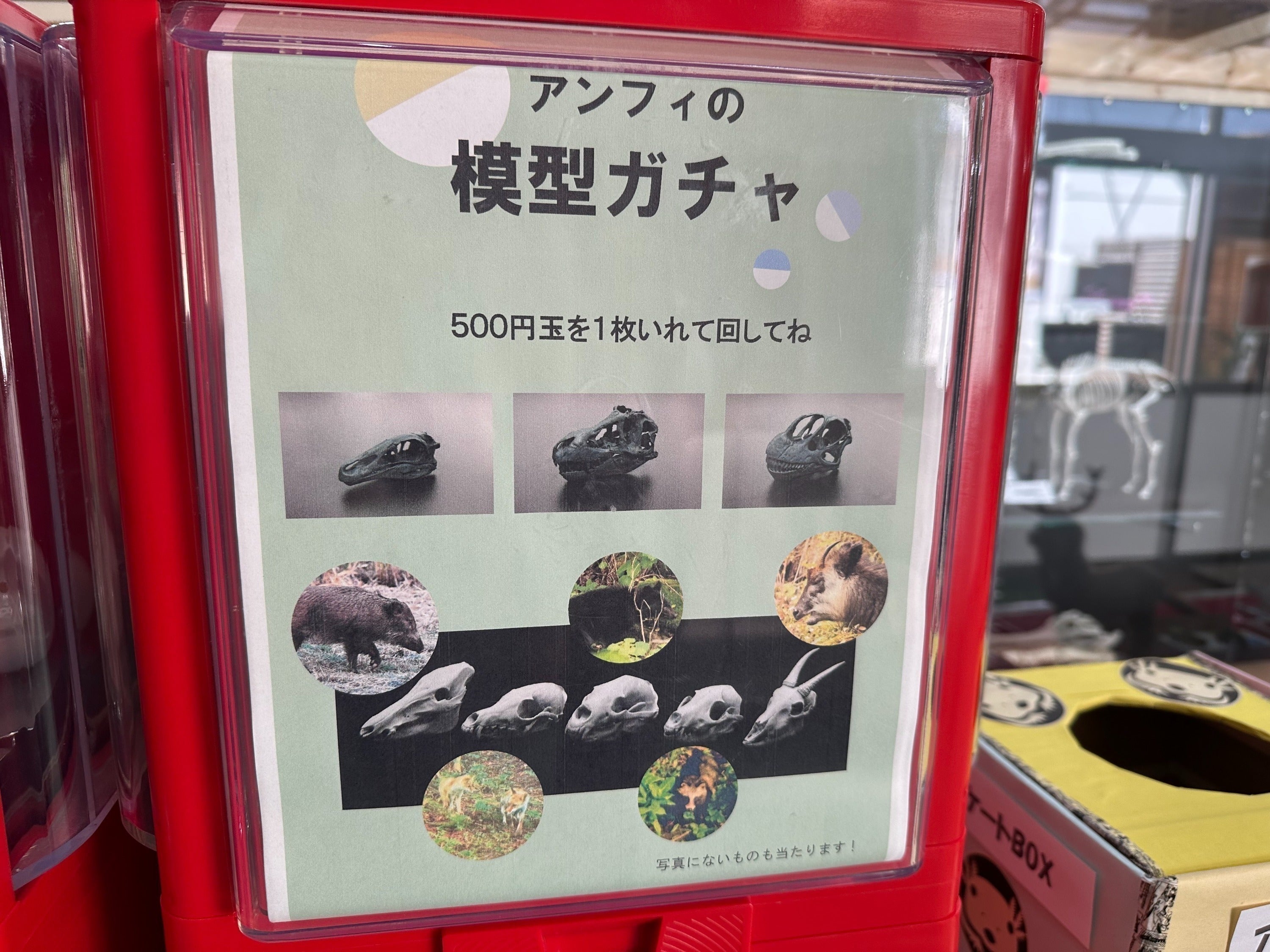 リターン画像