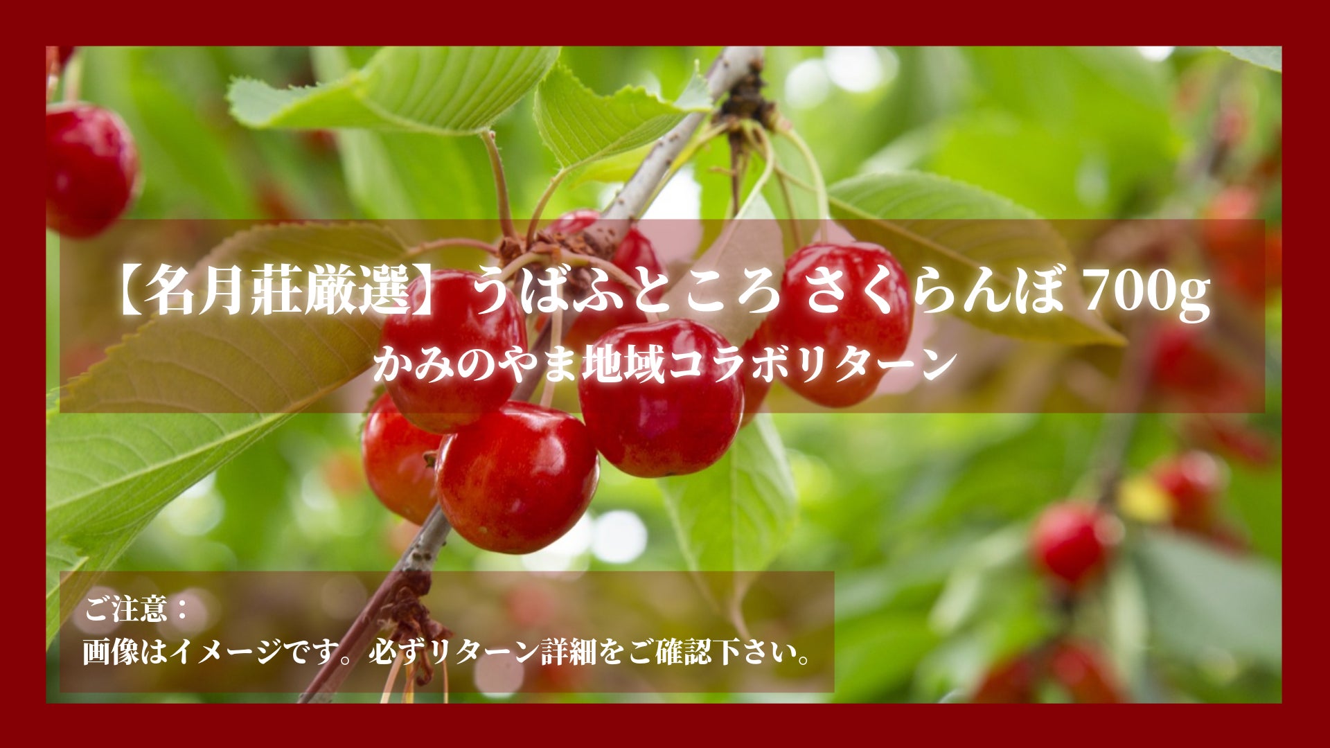 リターン画像
