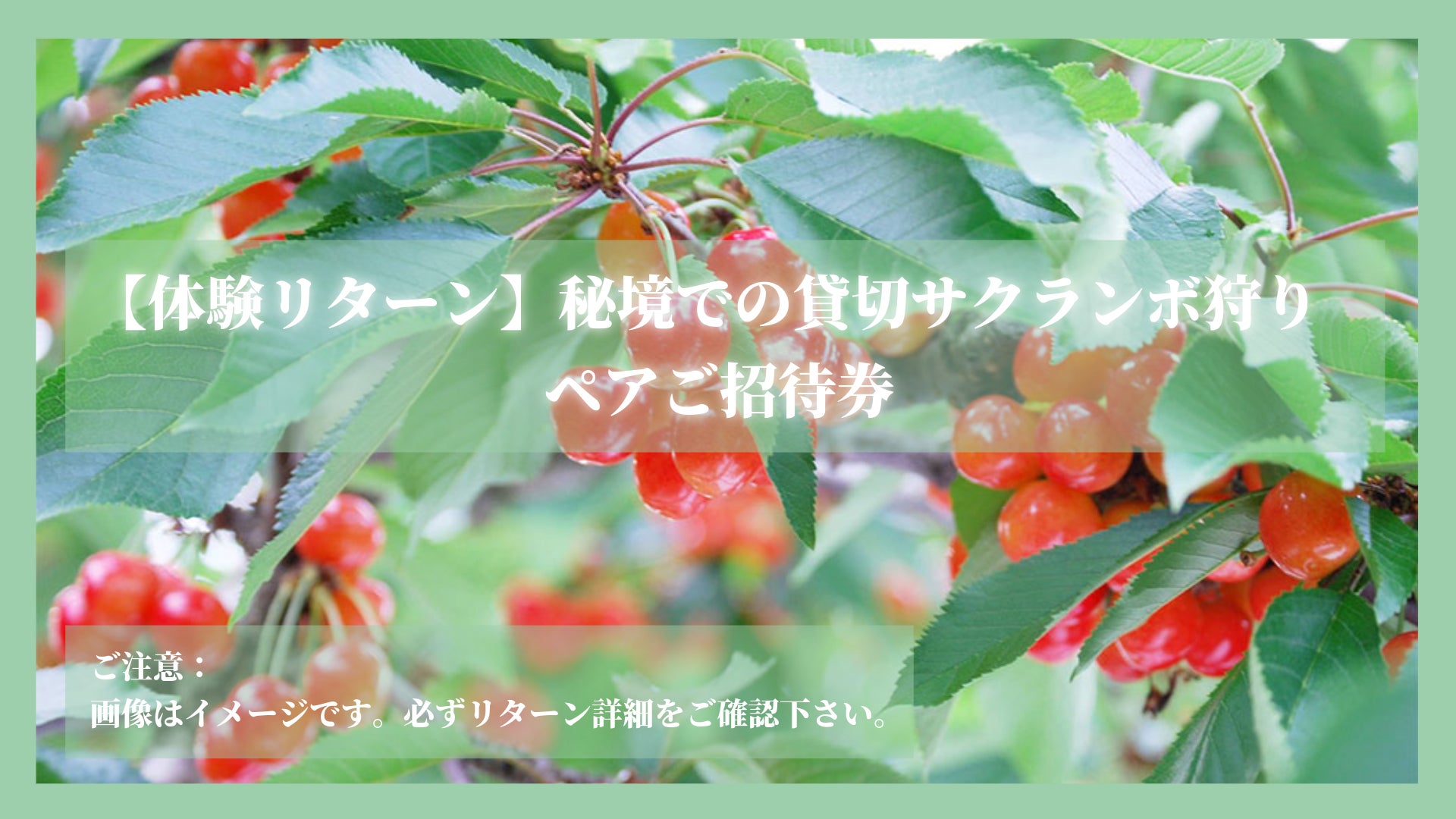 リターン画像