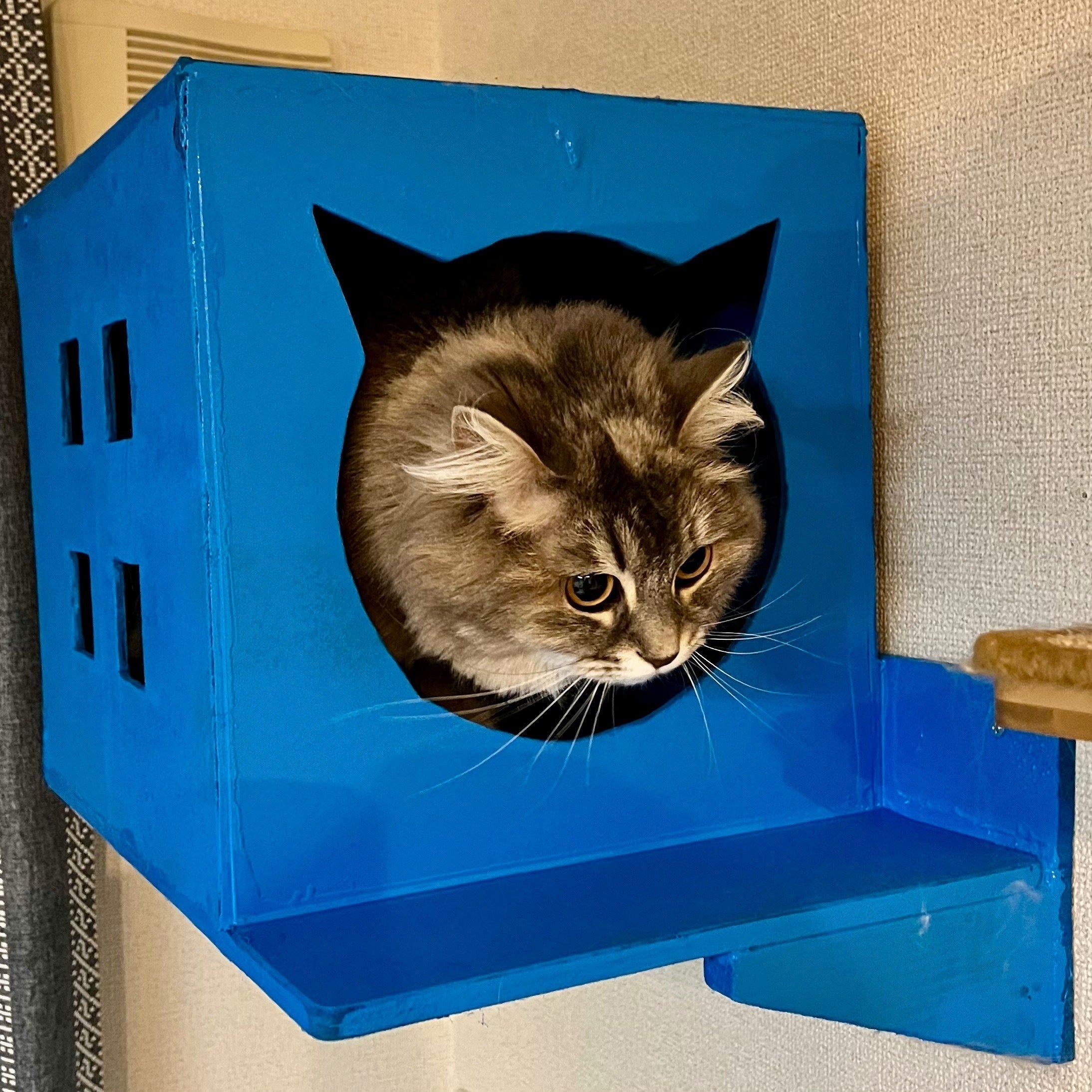 天然木の手作り猫家具】全てのネコちゃん達が安心してくつろげる空間を