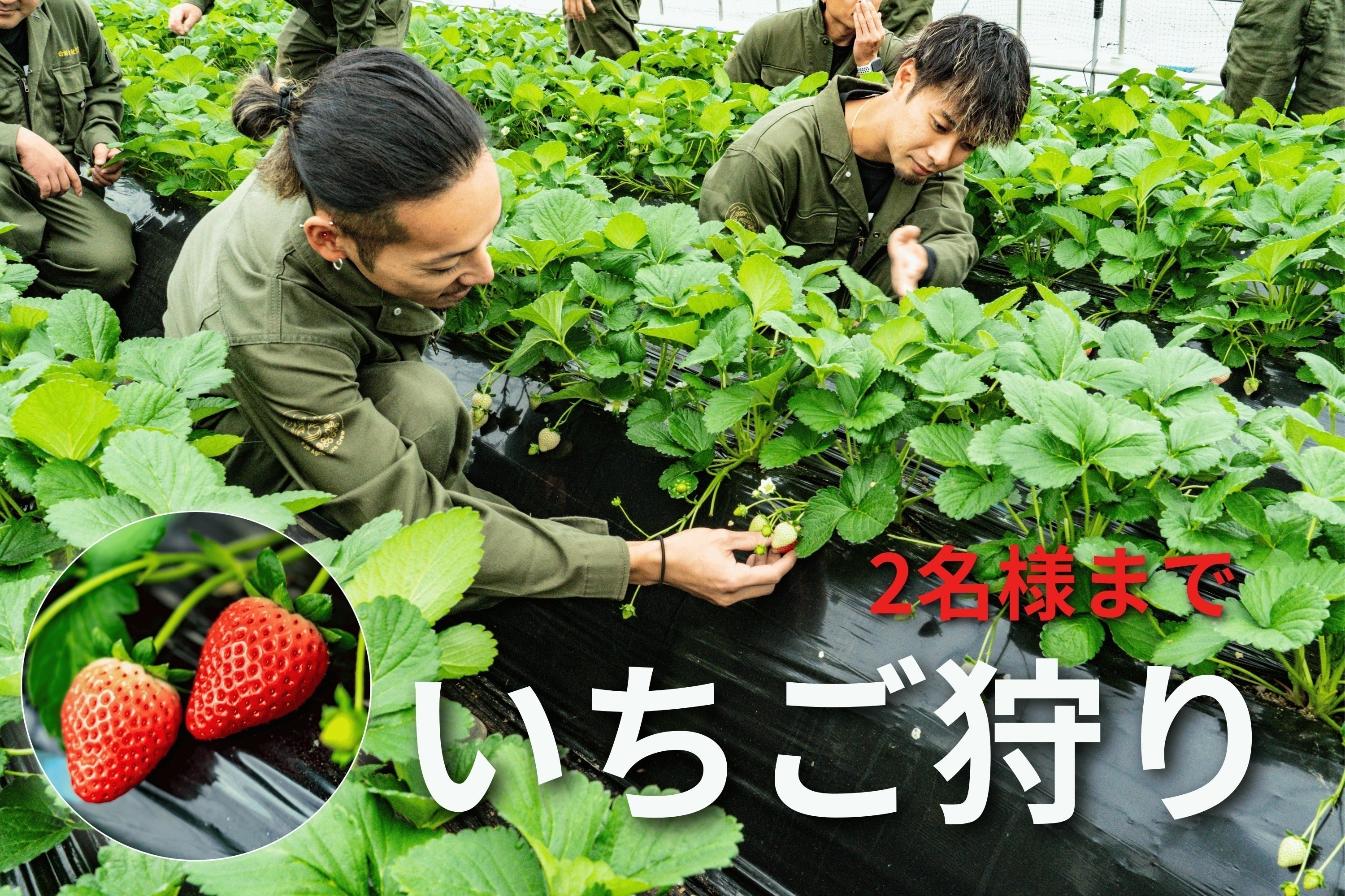 リターン画像