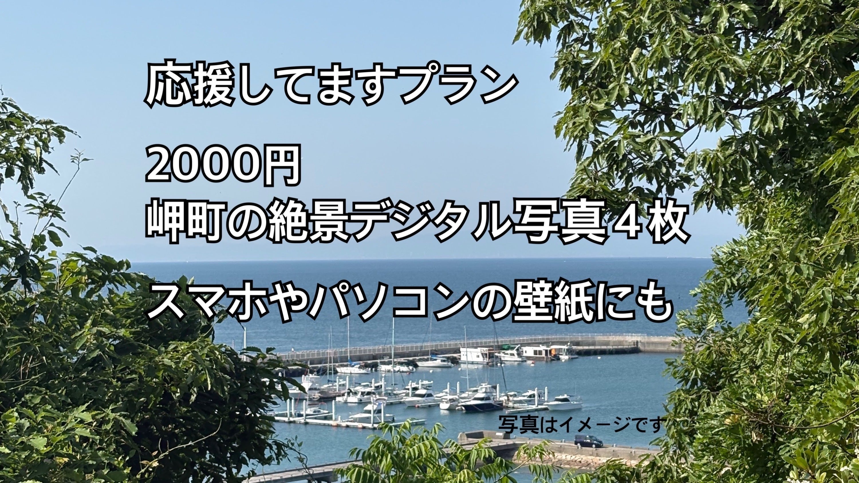 リターン画像