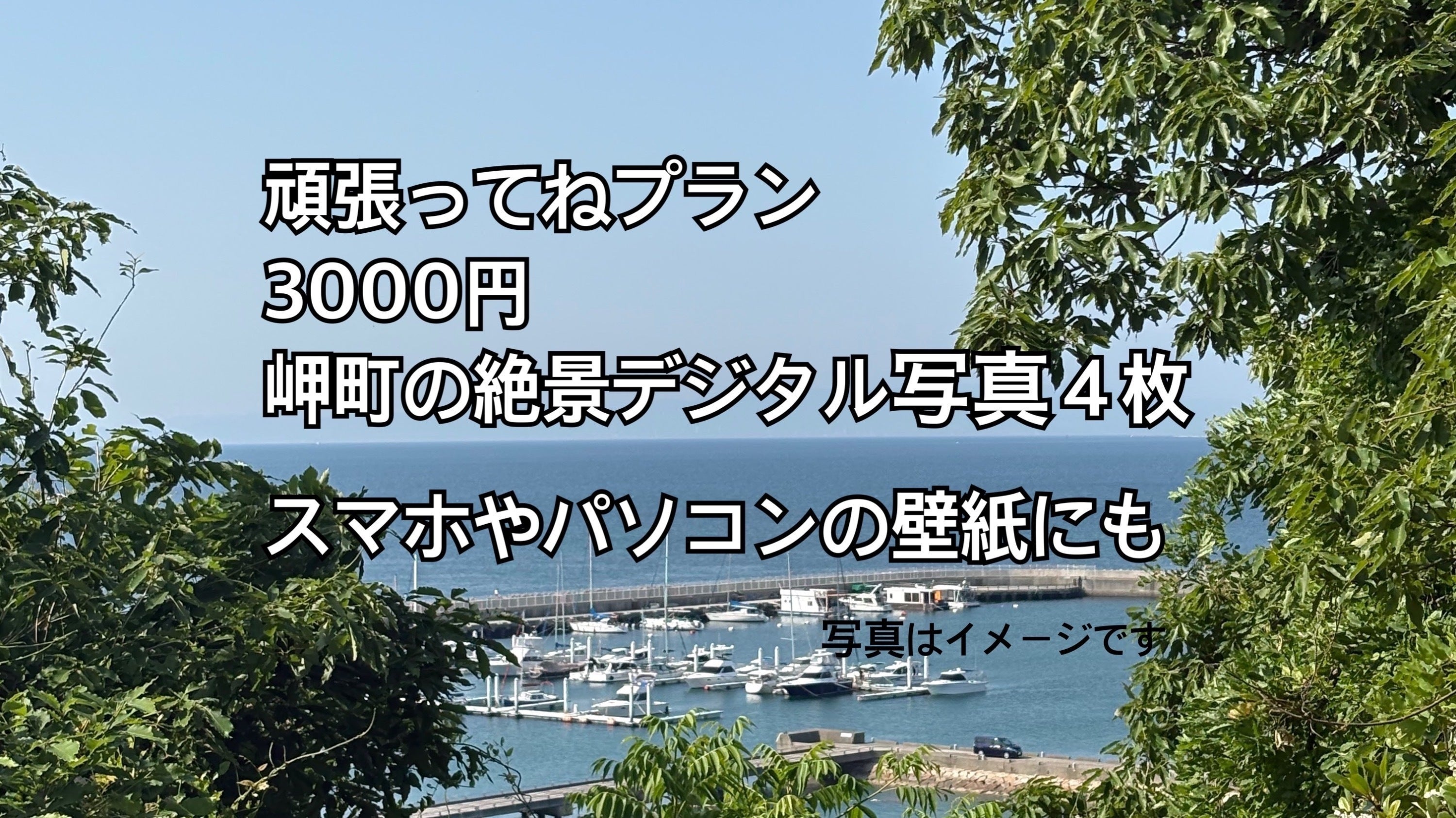 リターン画像