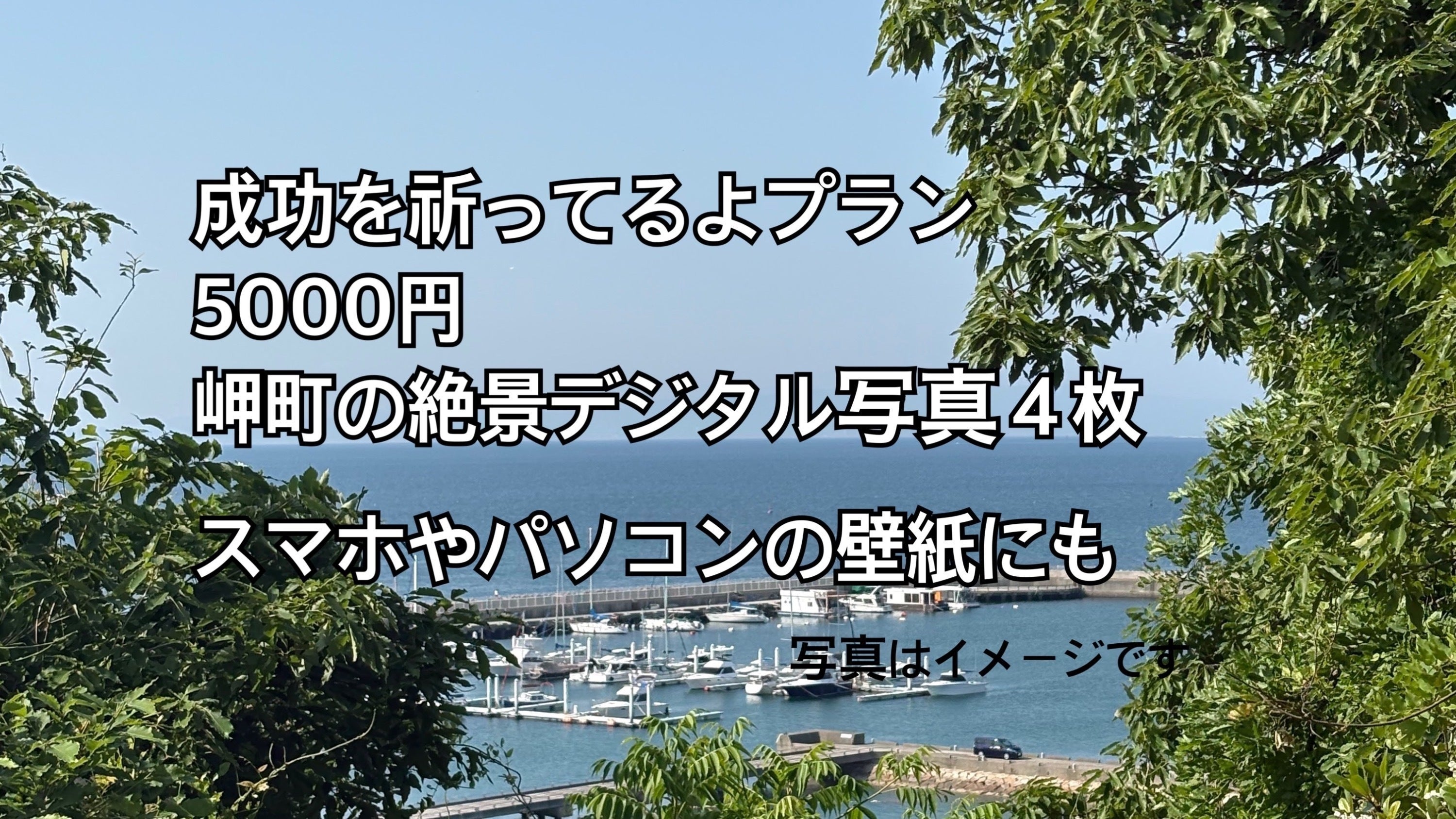 リターン画像