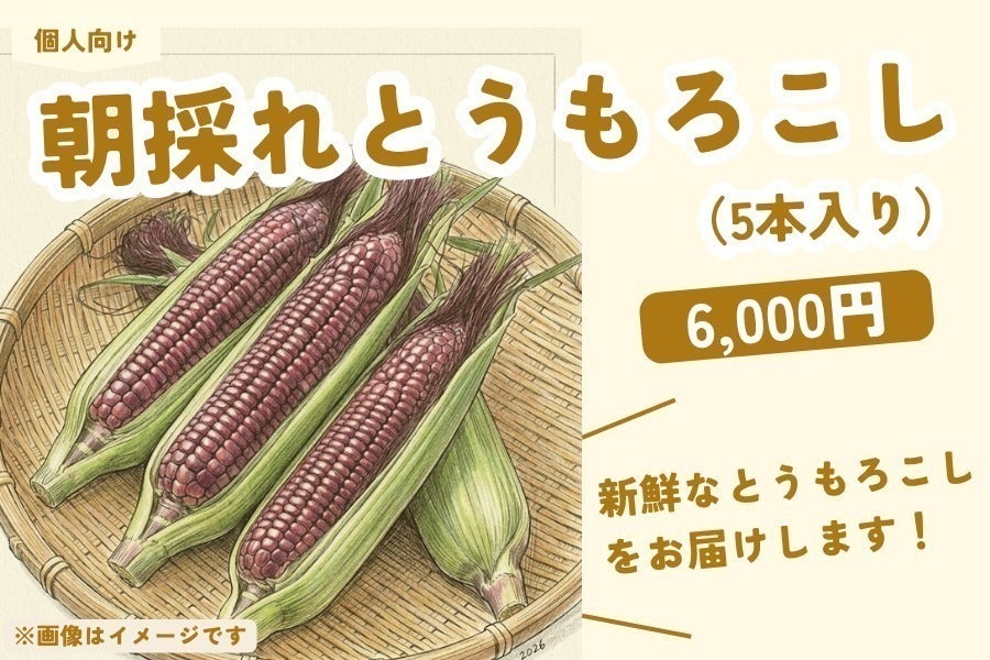 リターン画像