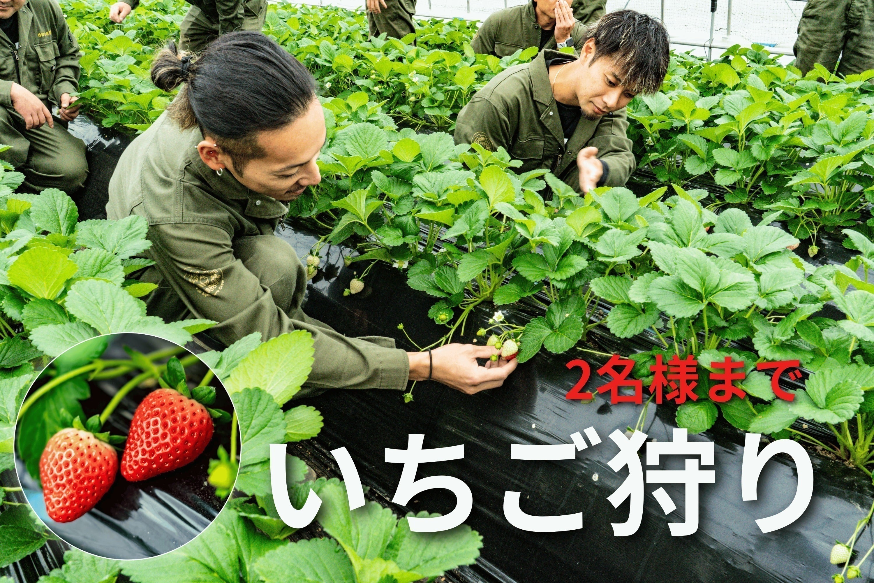 リターン画像