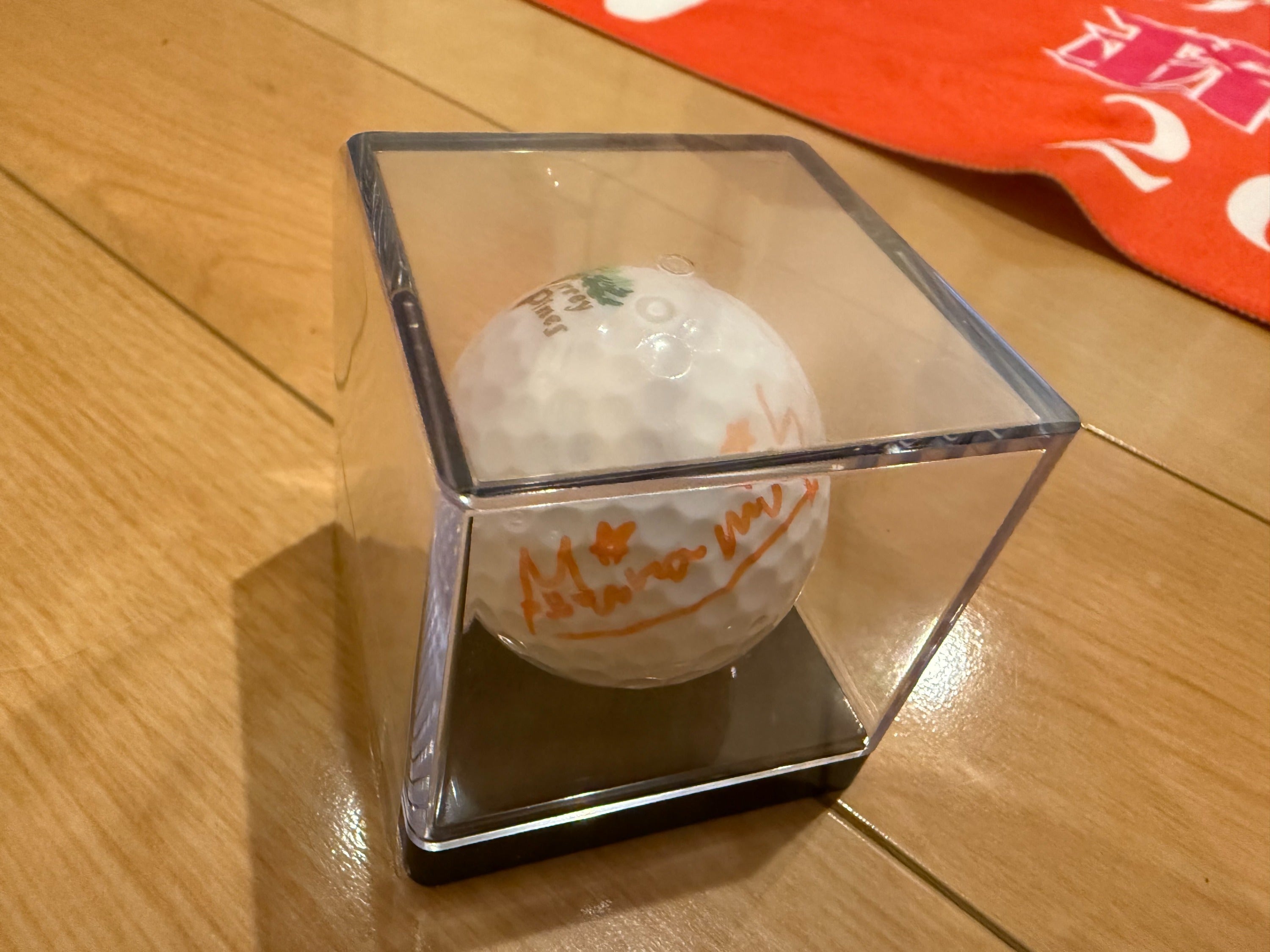 リターン画像
