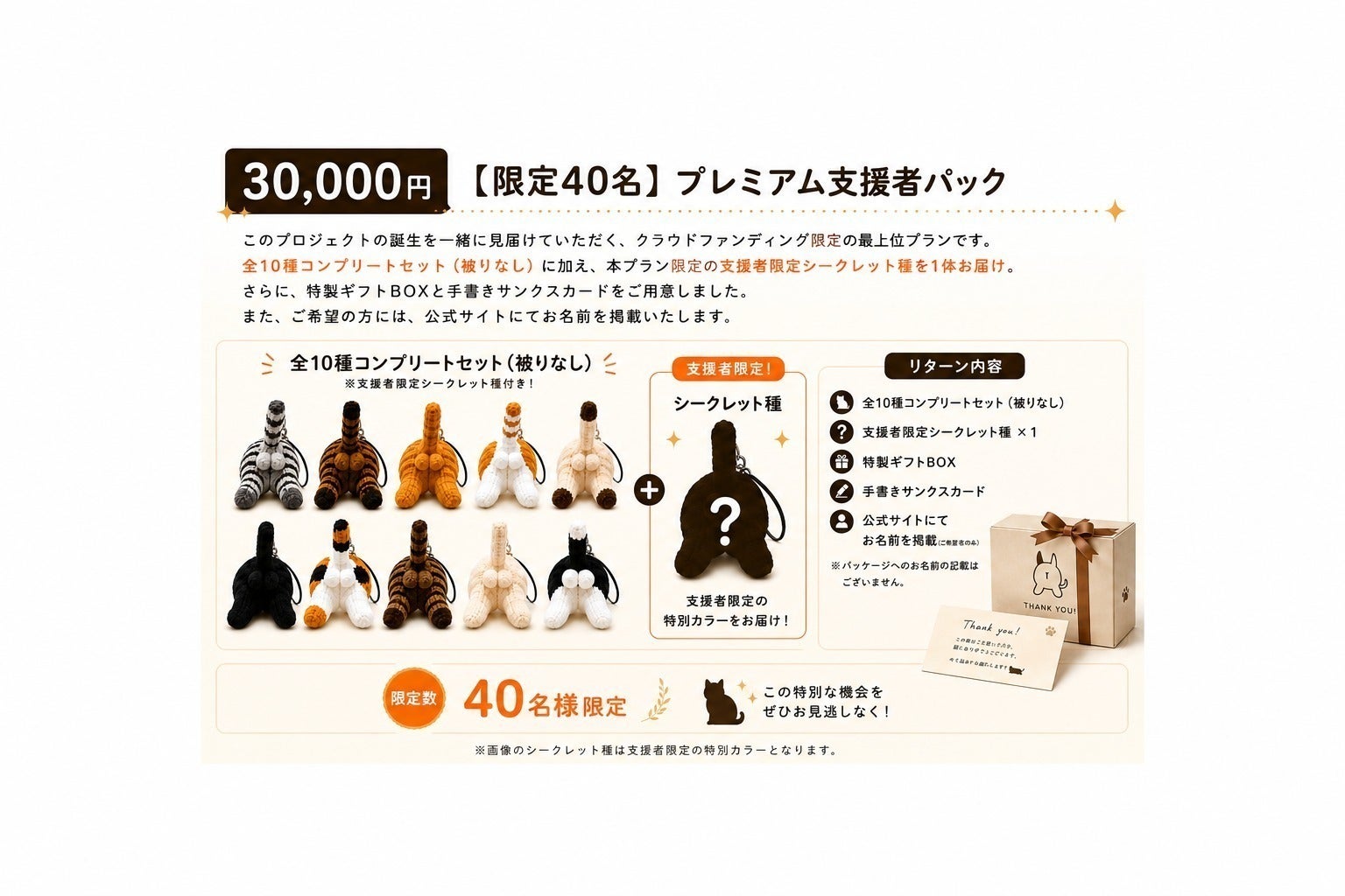 リターン画像