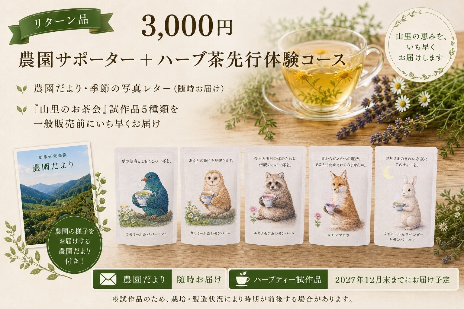 リターン画像