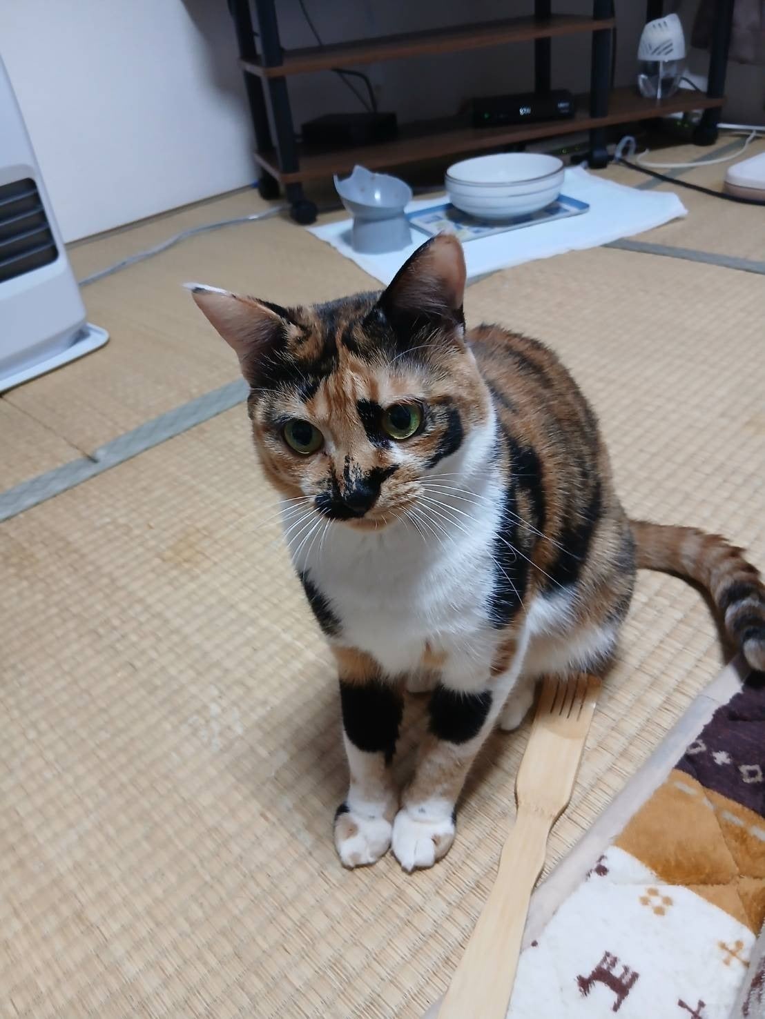 リターン画像