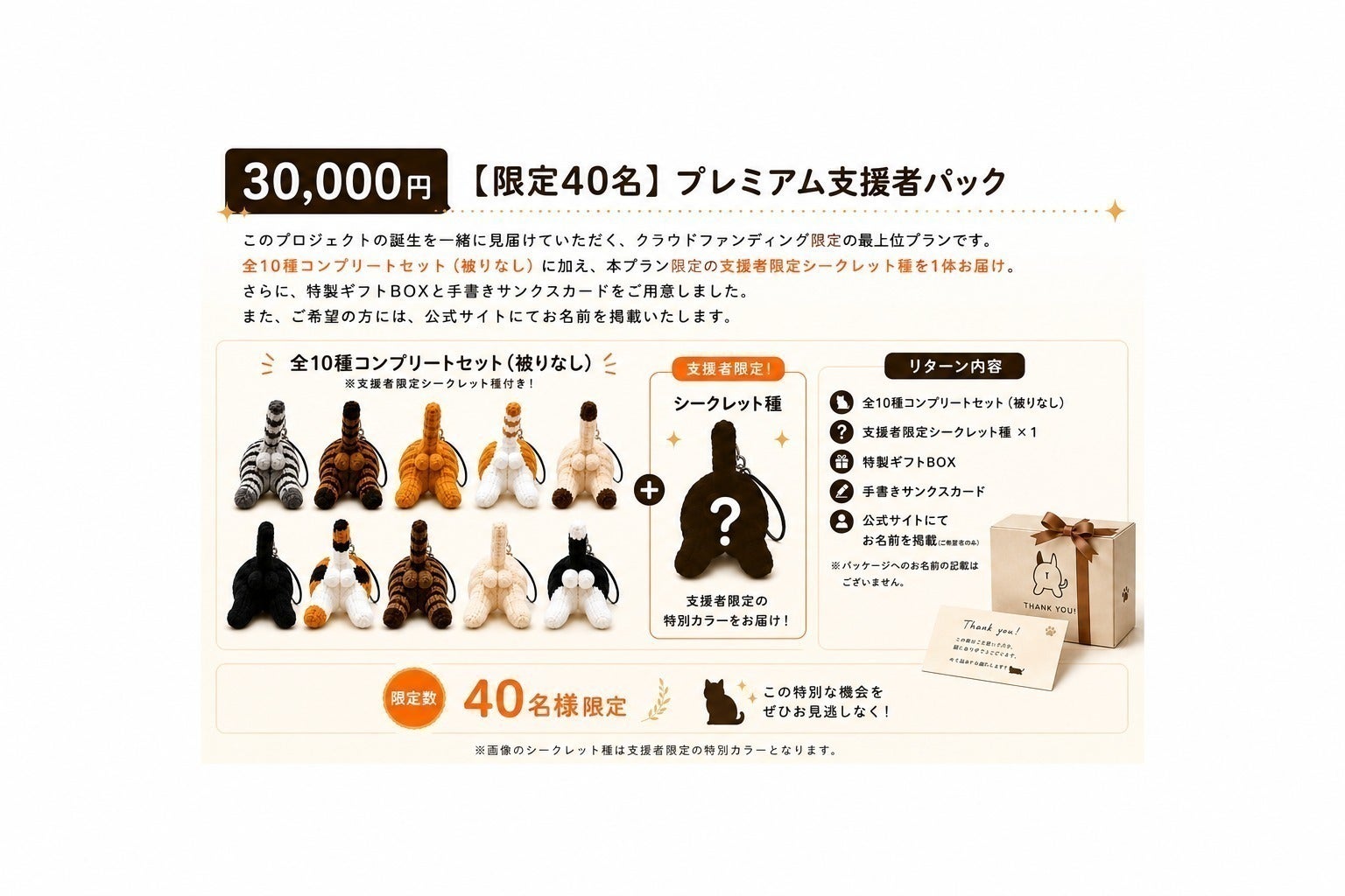 リターン画像