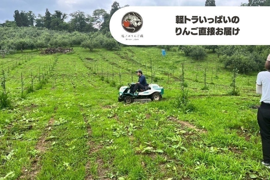 リターン画像