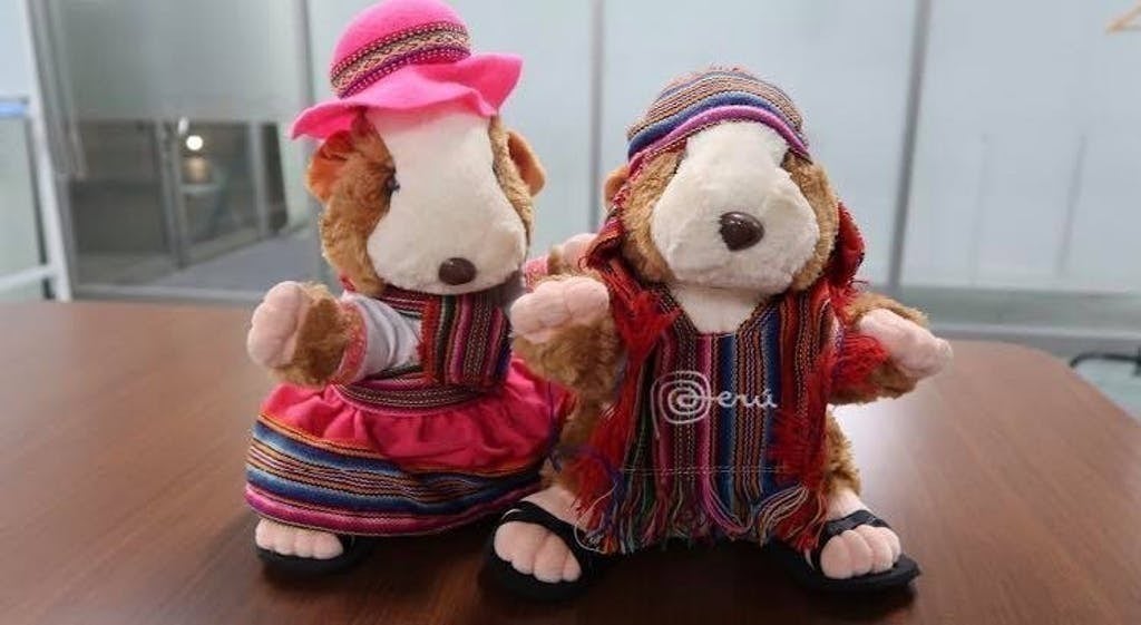 日本人へ 感謝 と 素晴らしいペルー文化 を伝えるためにペルー祭を開催したい Campfire キャンプファイヤー