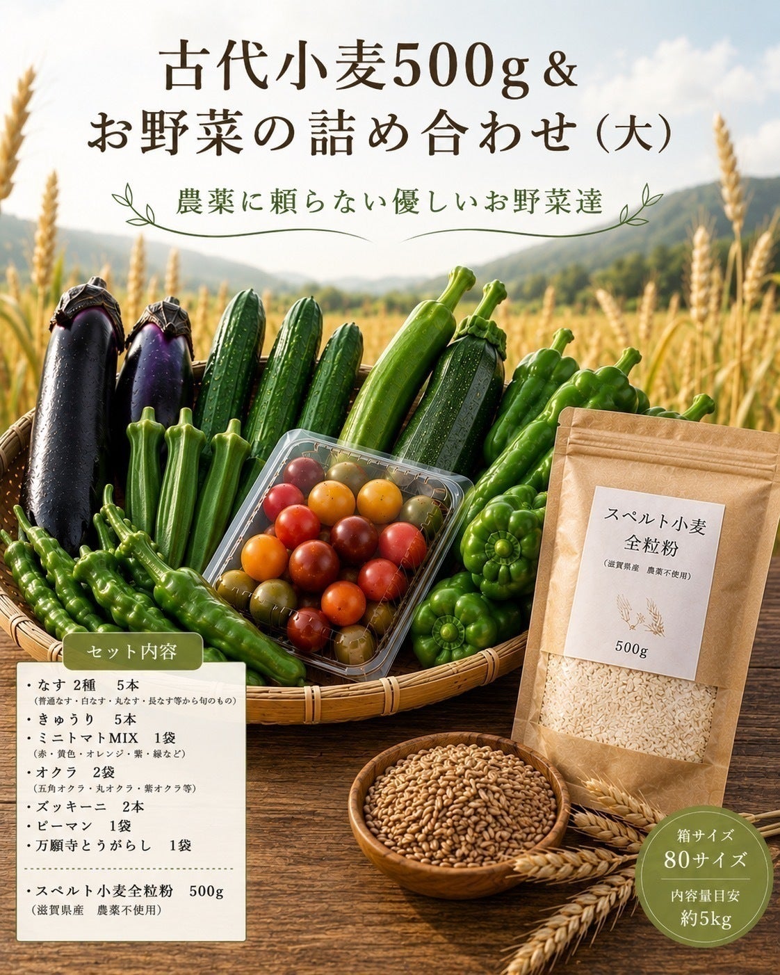 リターン画像