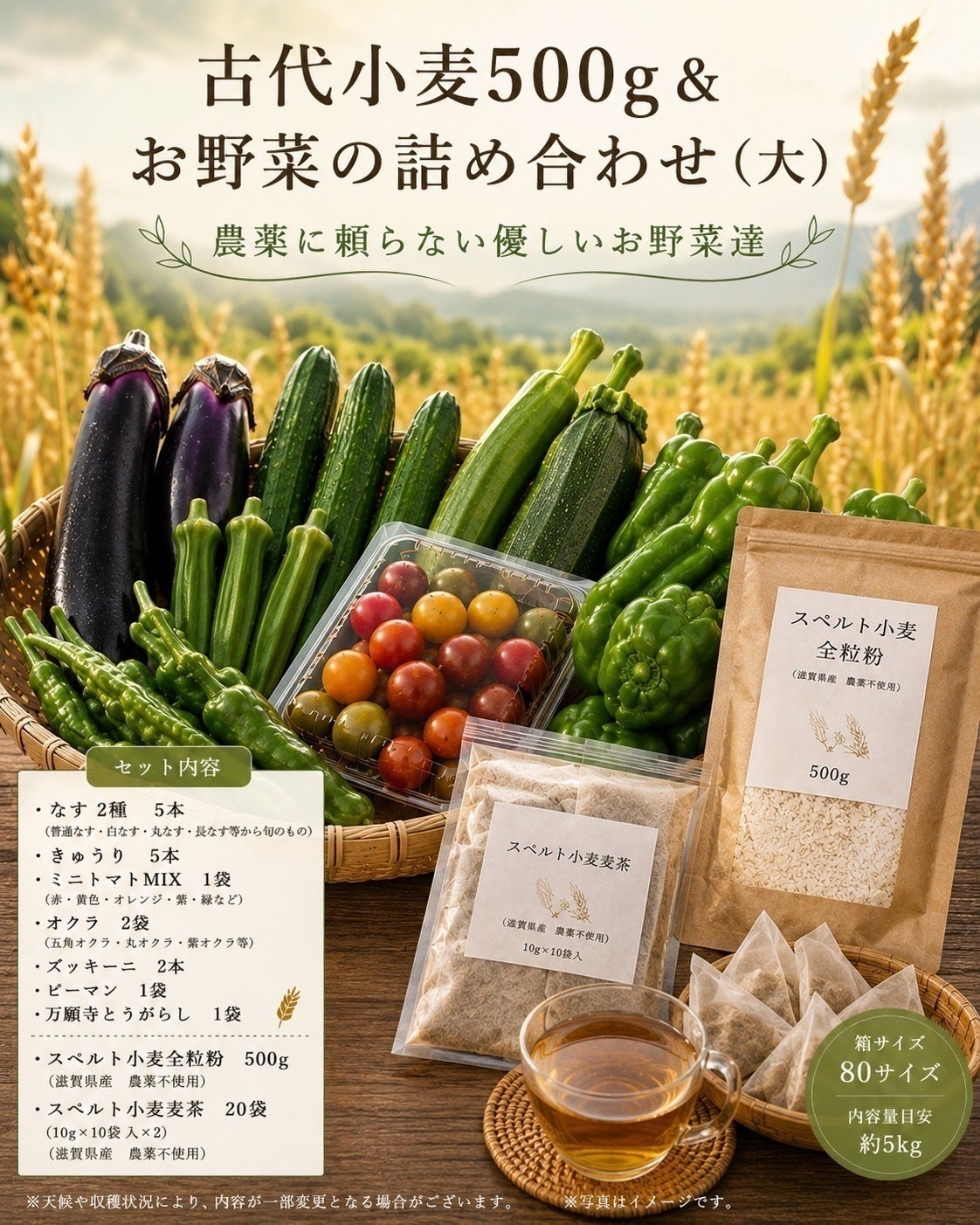 リターン画像