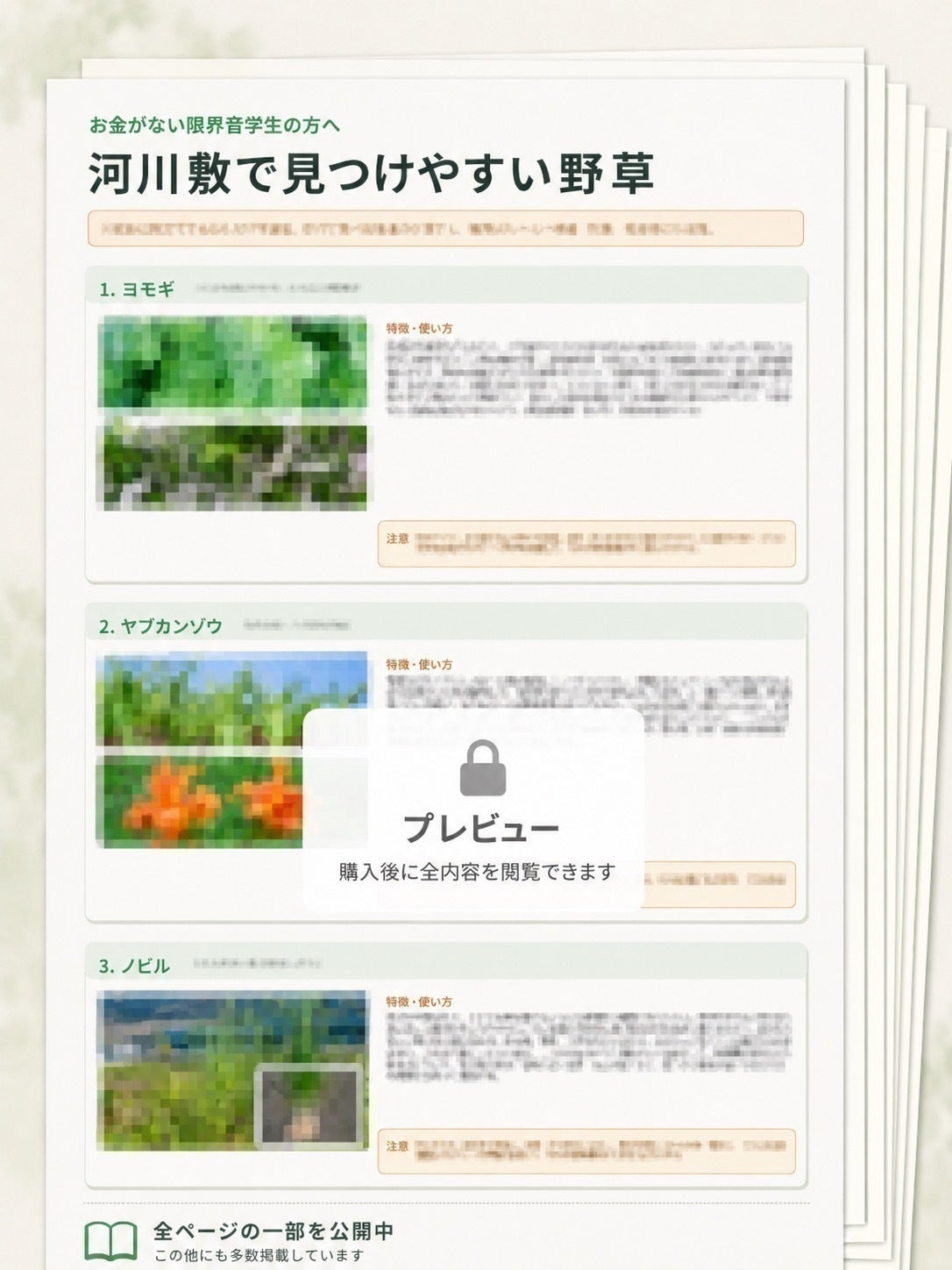 リターン画像