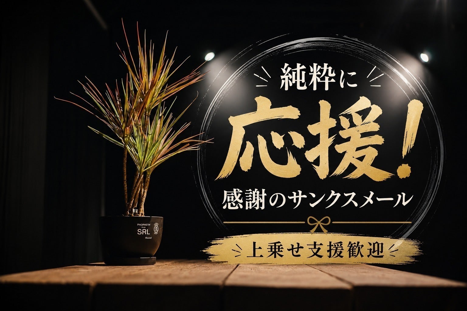 リターン画像