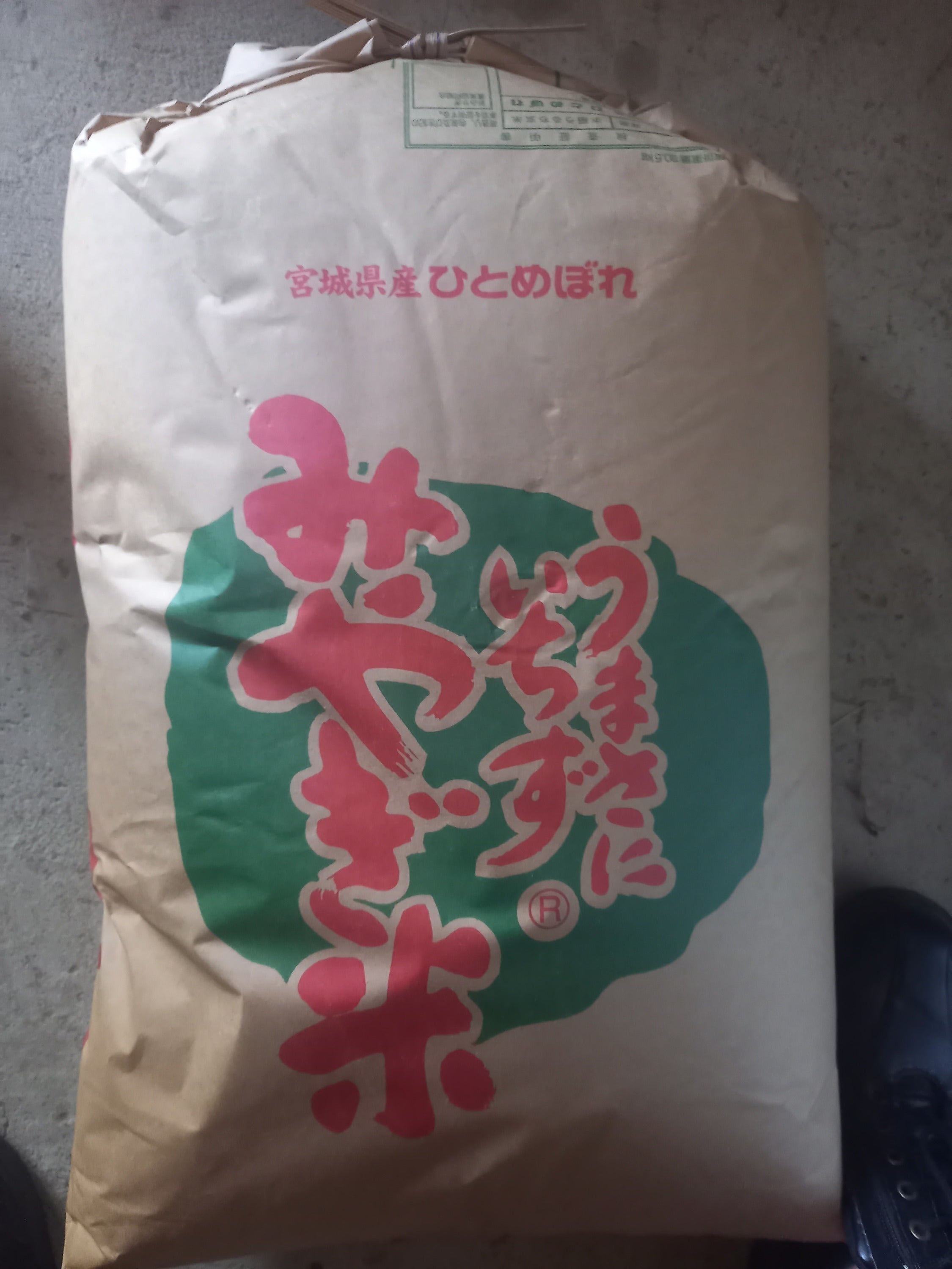 リターン画像