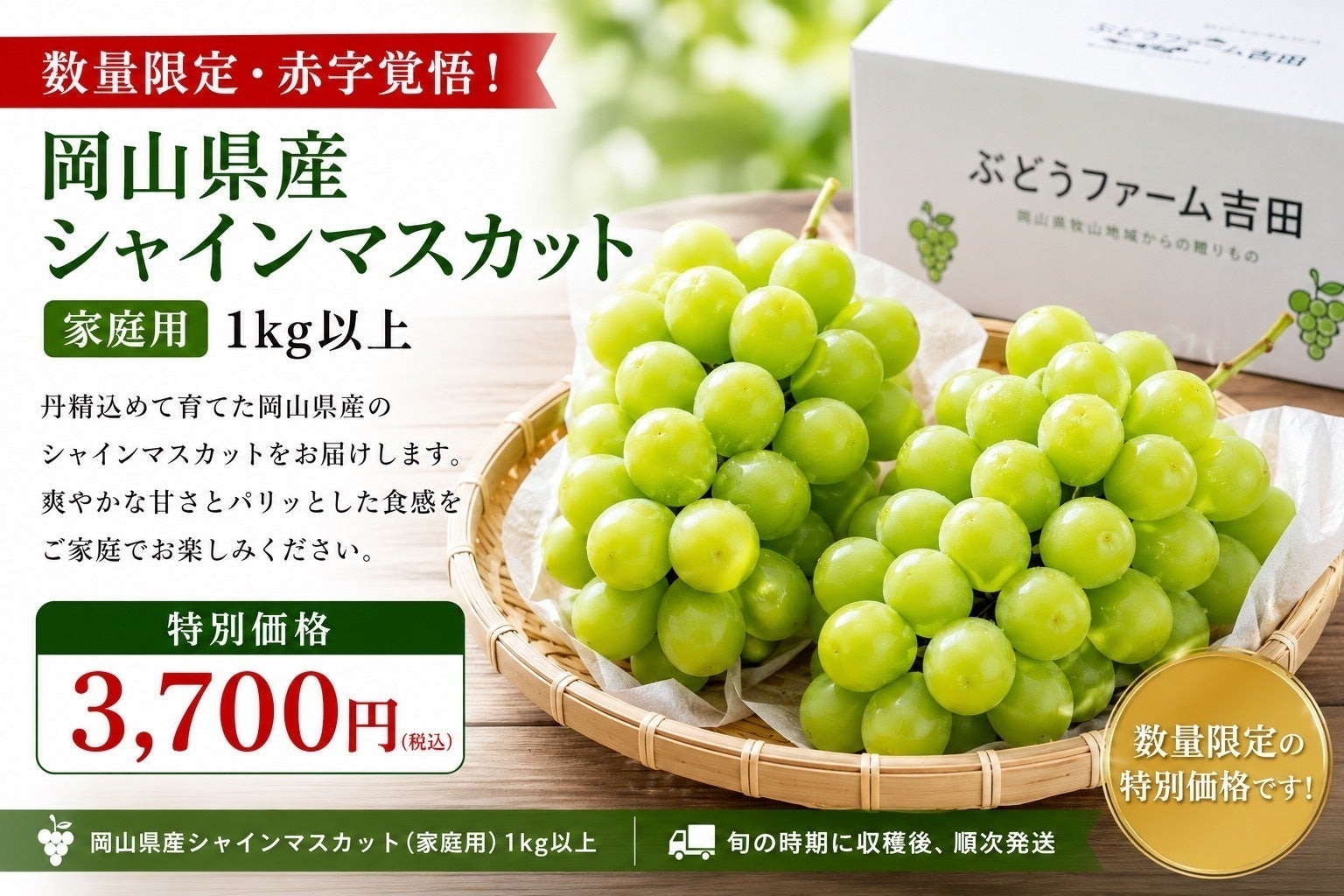 リターン画像